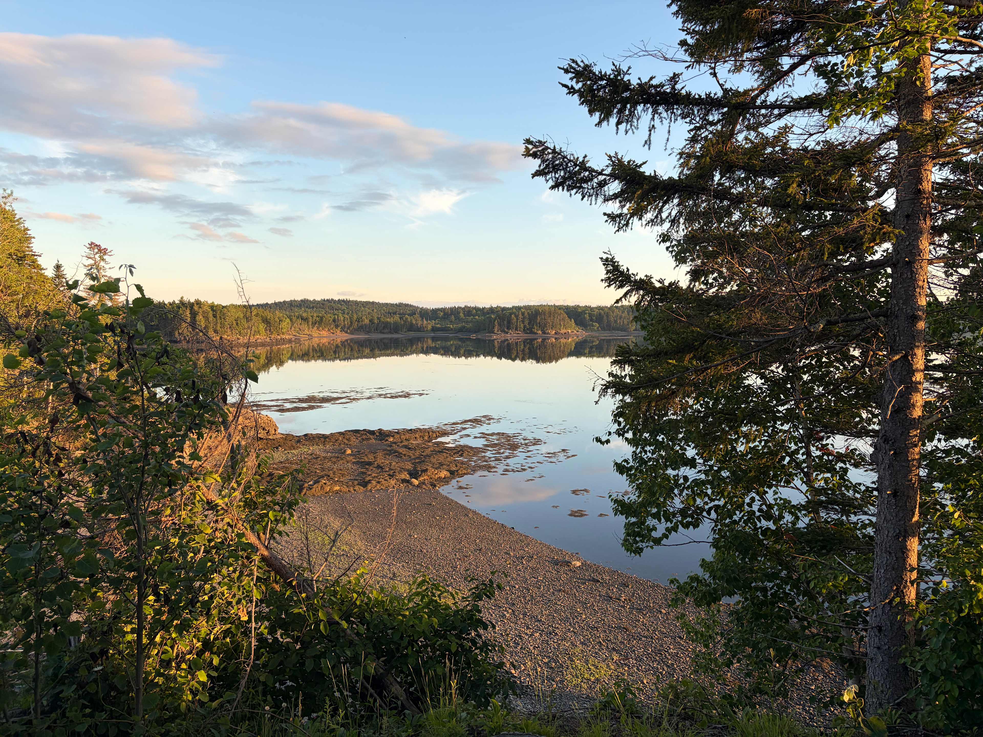 Mouth of the Magaguadavic Camping