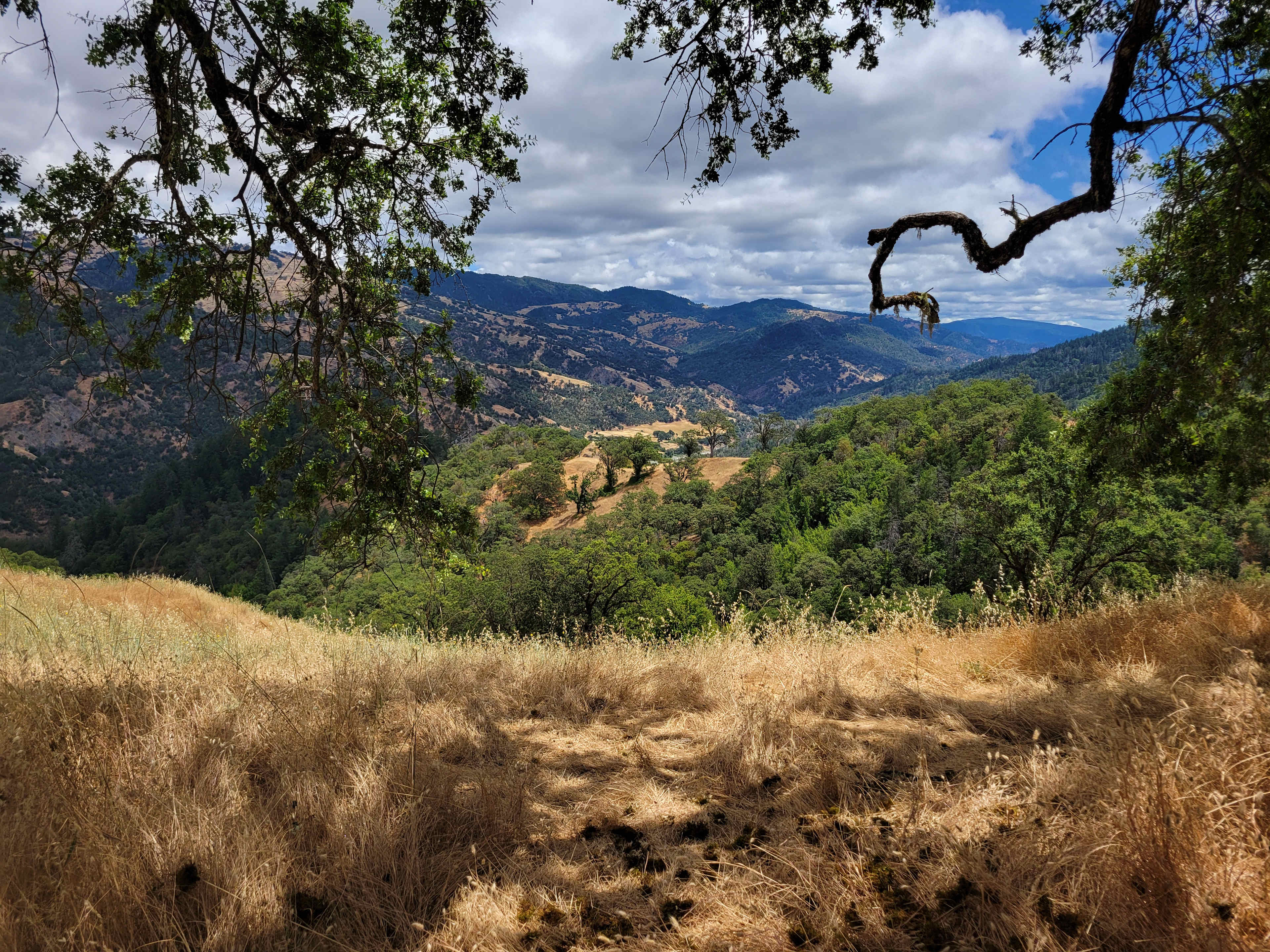Jackrabbit Ranch