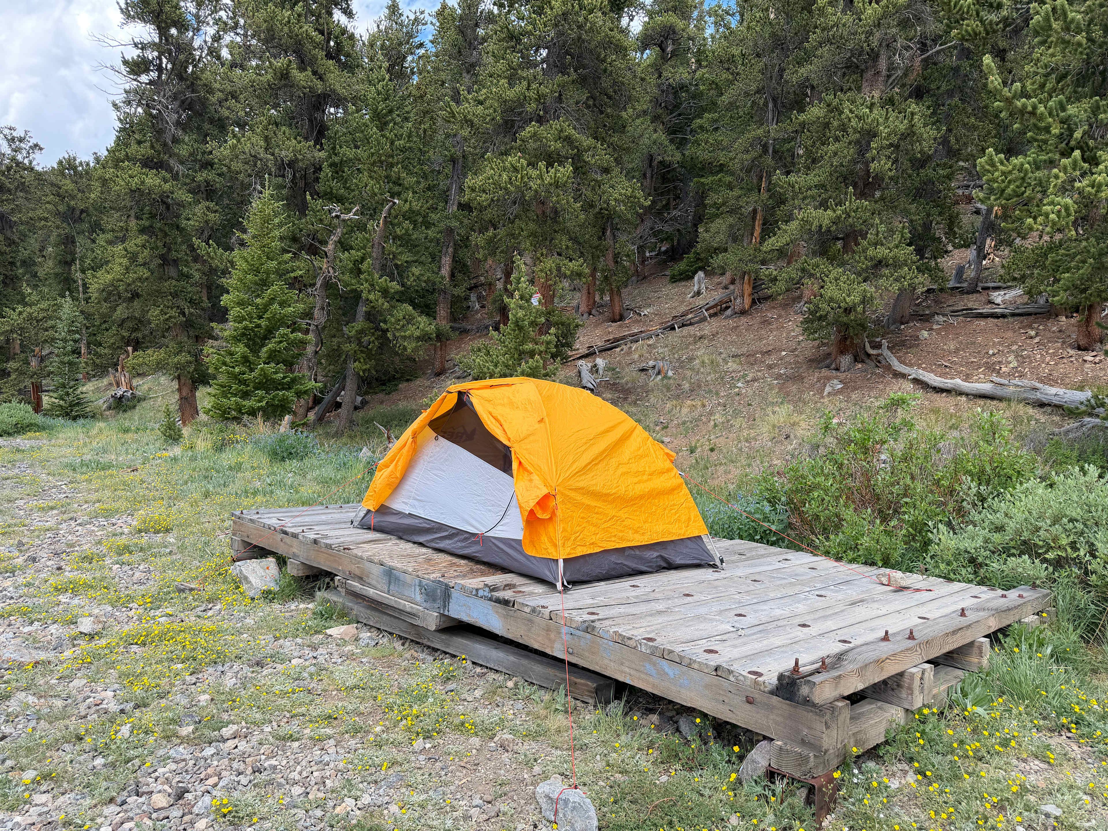 Bristlecone Camp Breckenridge
