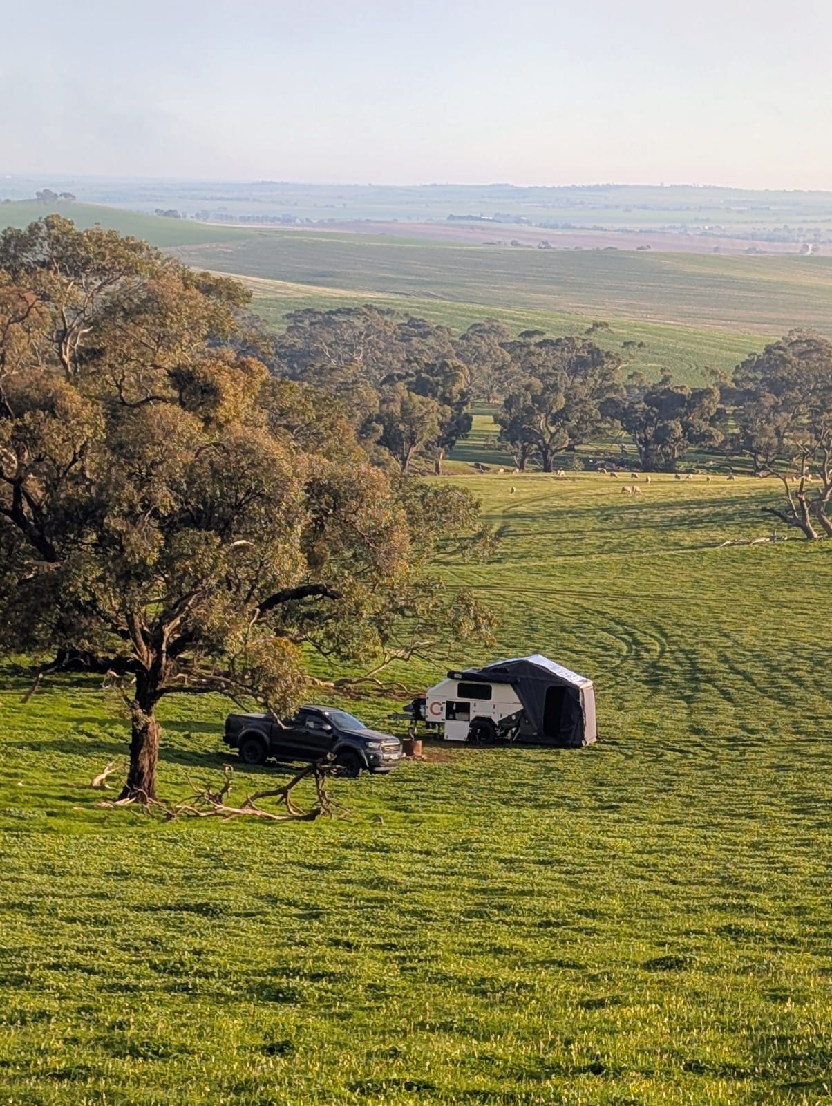 Picture of the site