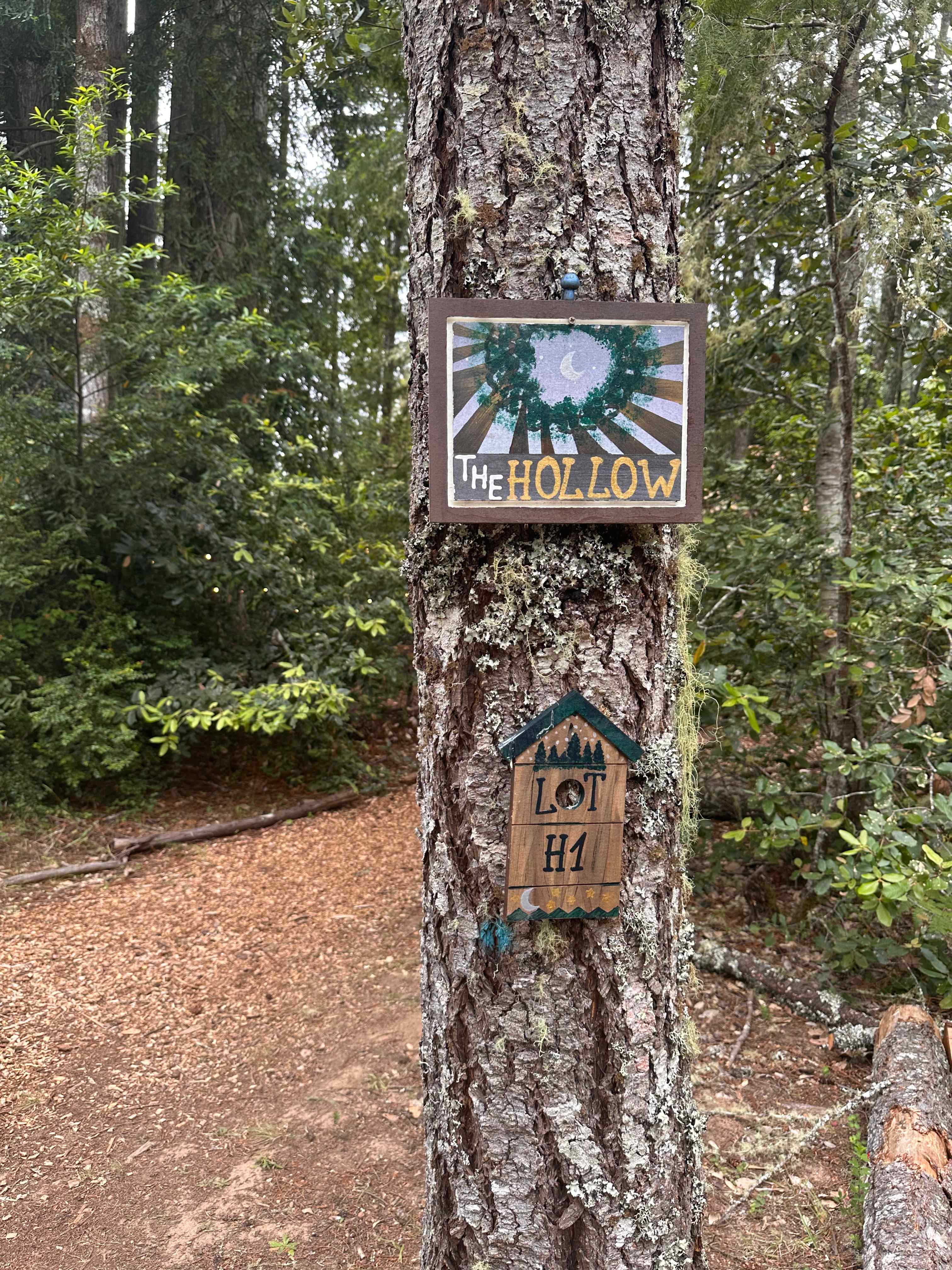 Larkspurs Hollow - Camp & Garden