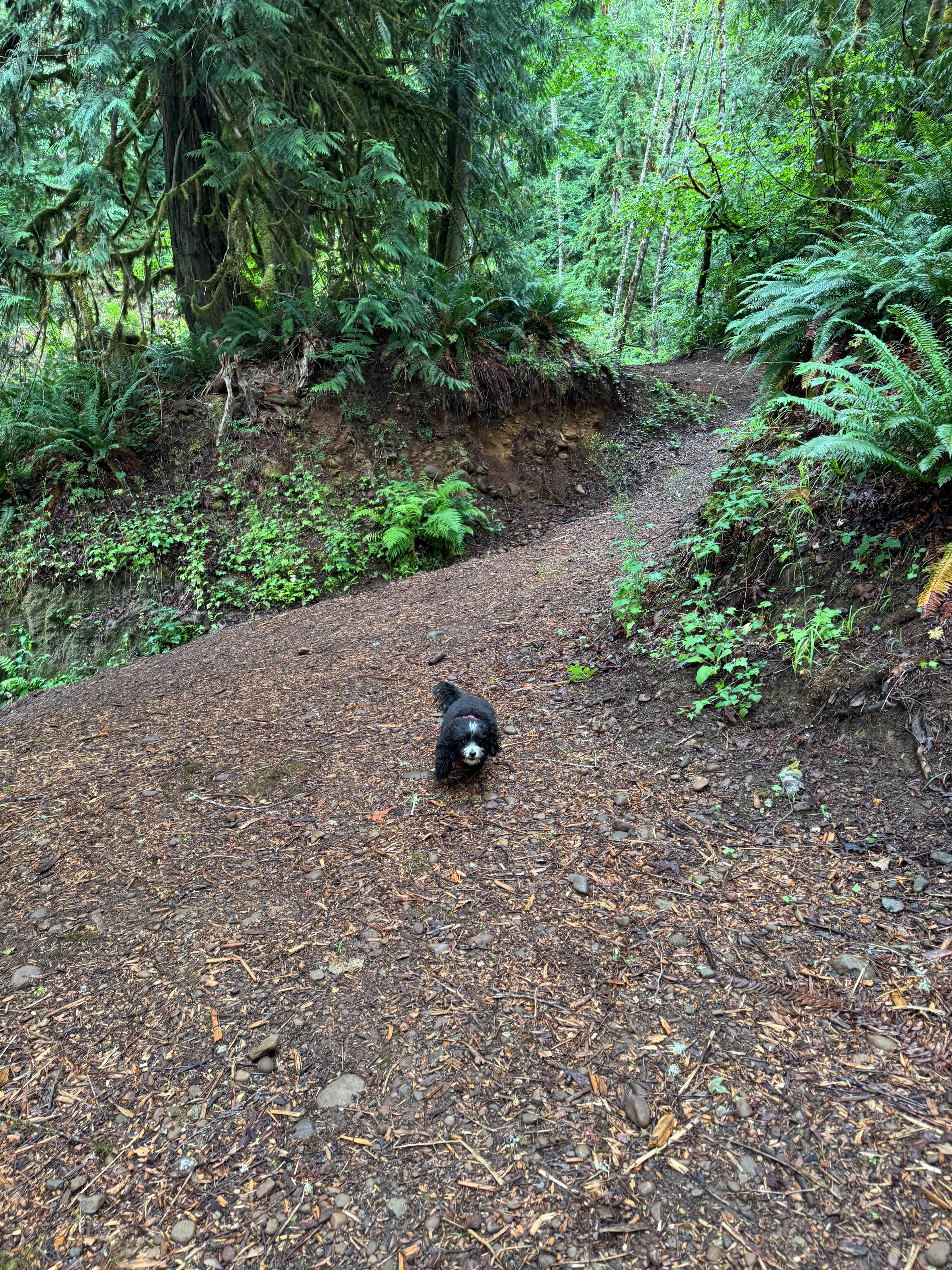 Zen Acres