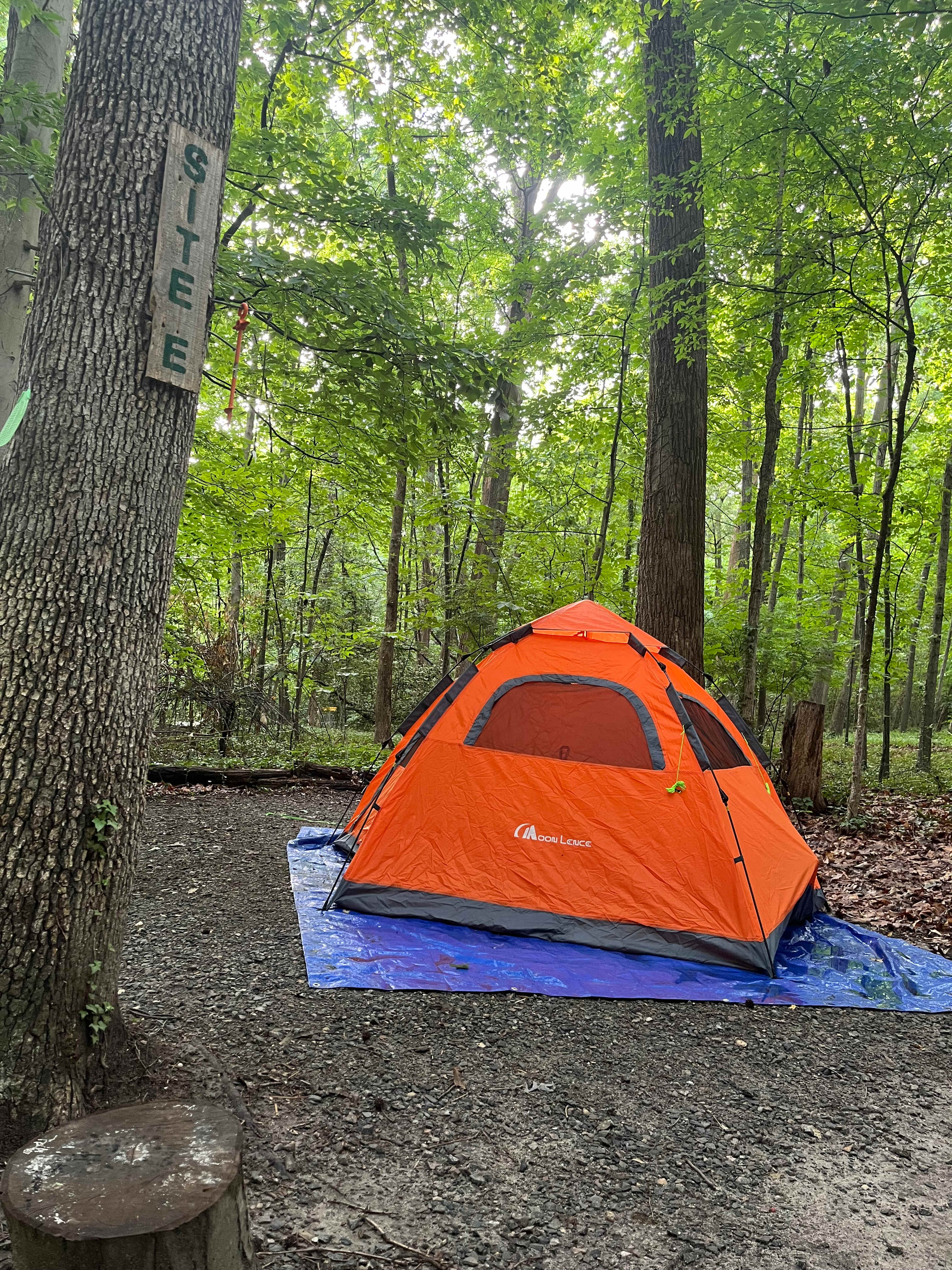City Camp on Reedy Creek