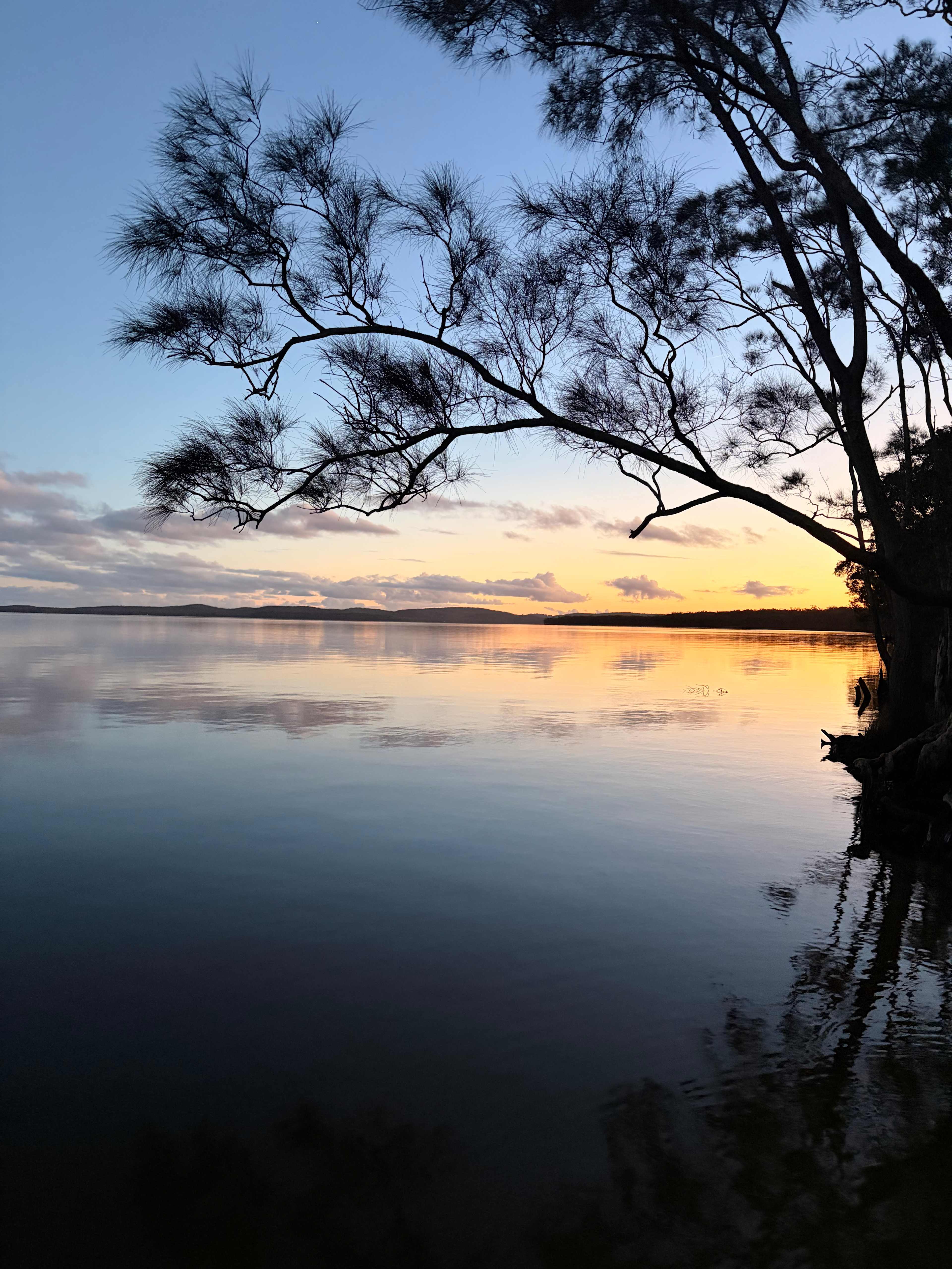 NRMA Myall Shores Holiday Park