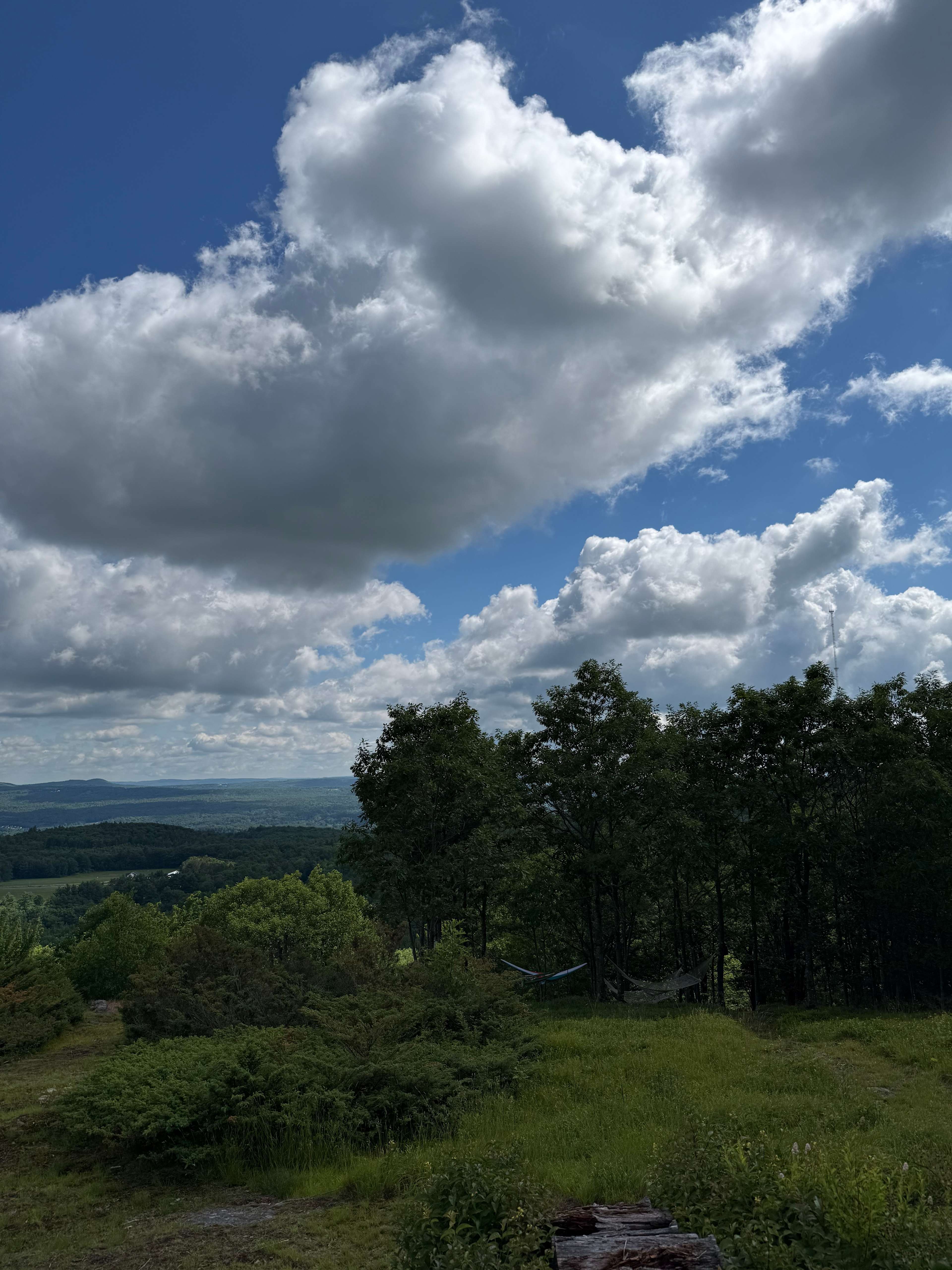 Hussey Mountain Tree Farm