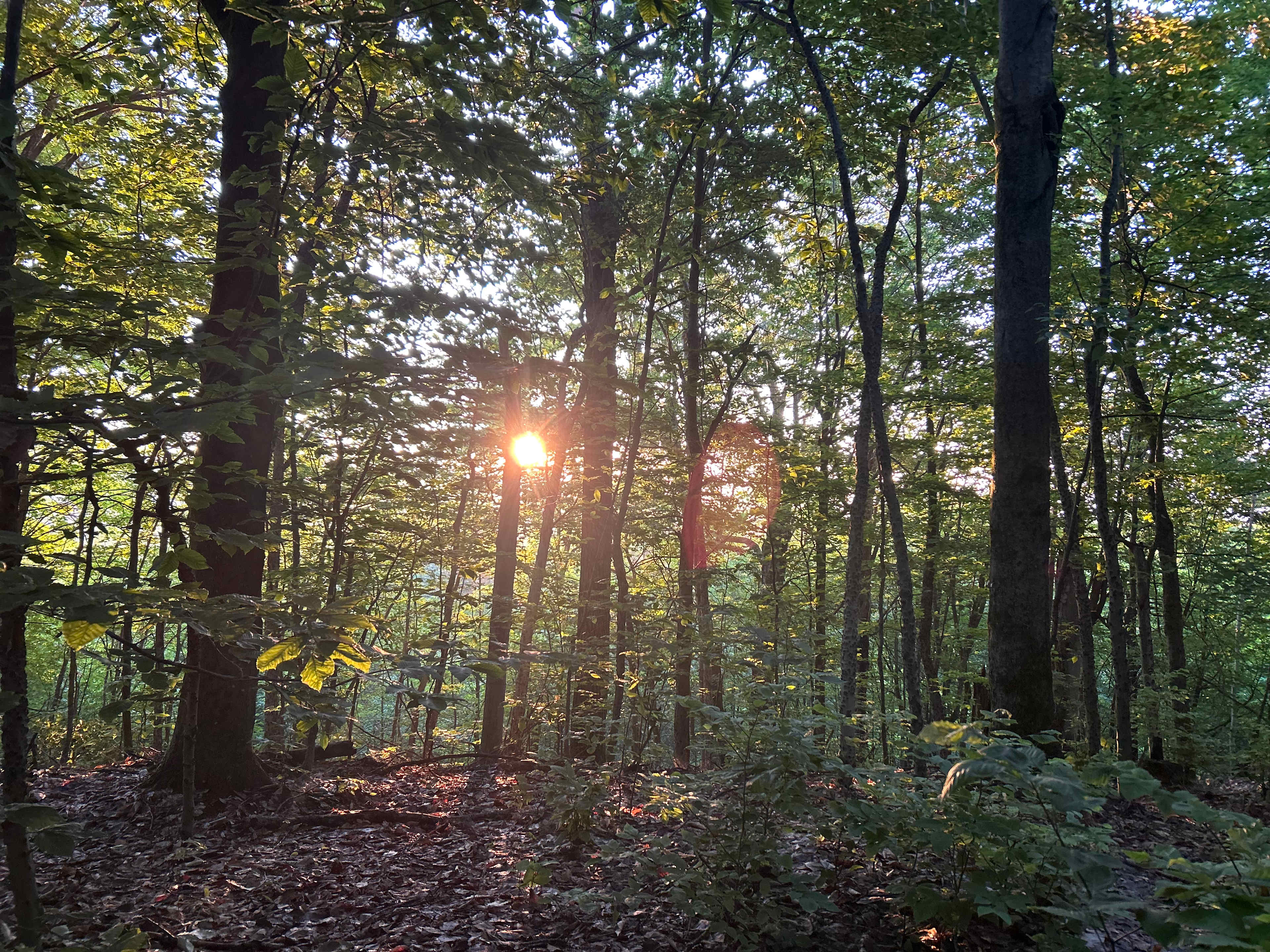 The view you get to wake up to 