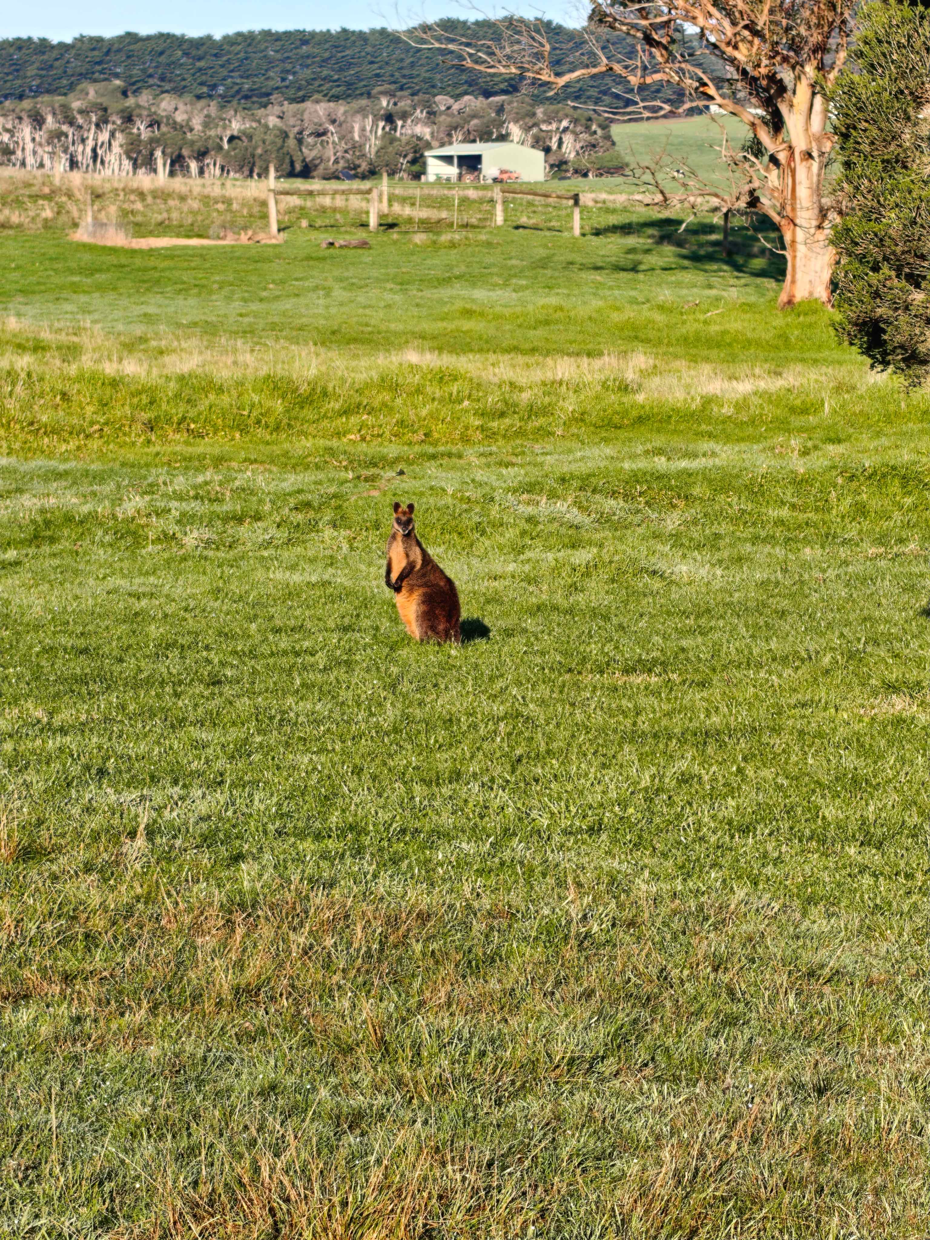 Luke's Farm Camp In North Paddock