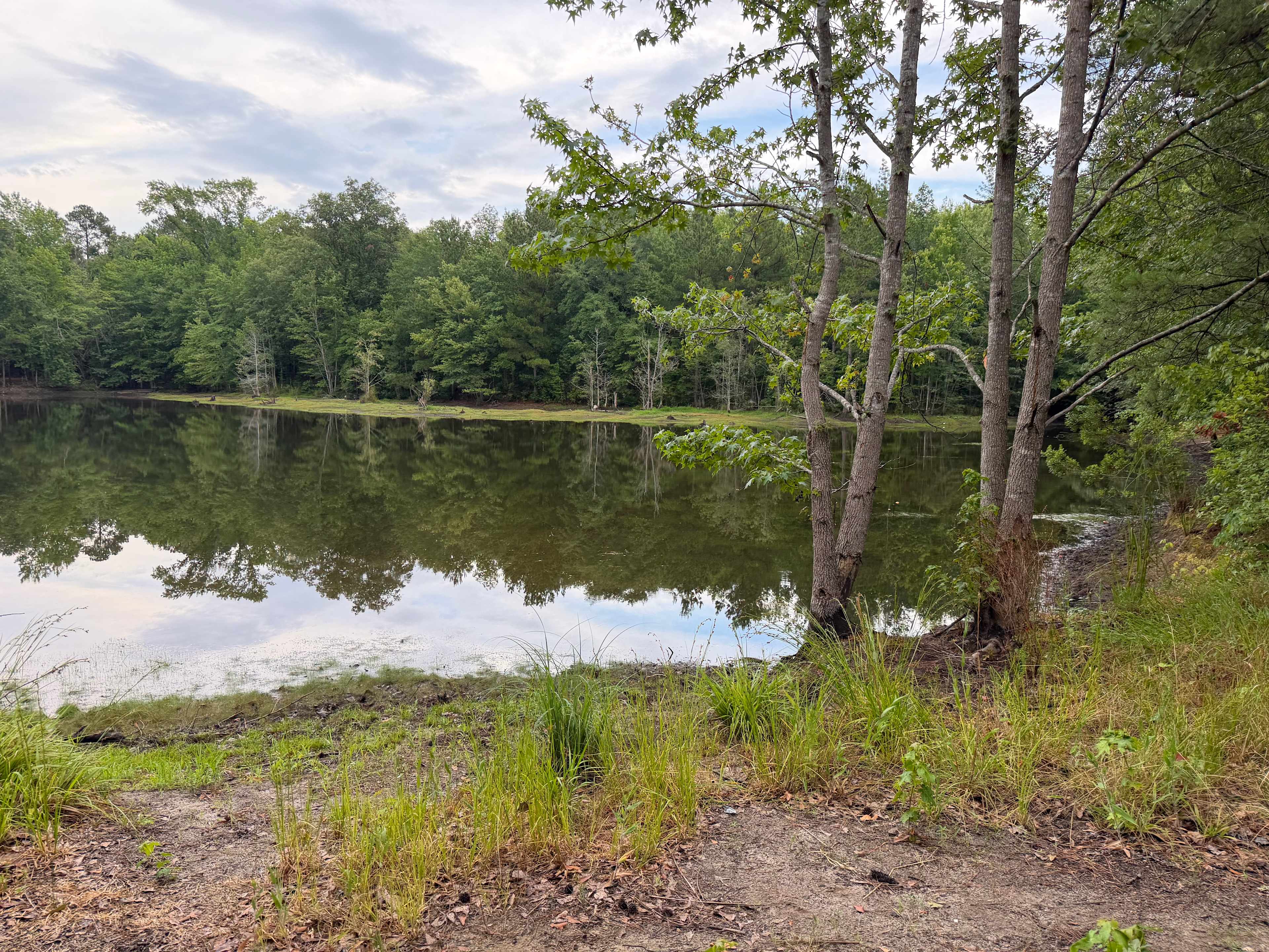 Scott’s Lakeview Camp and Park