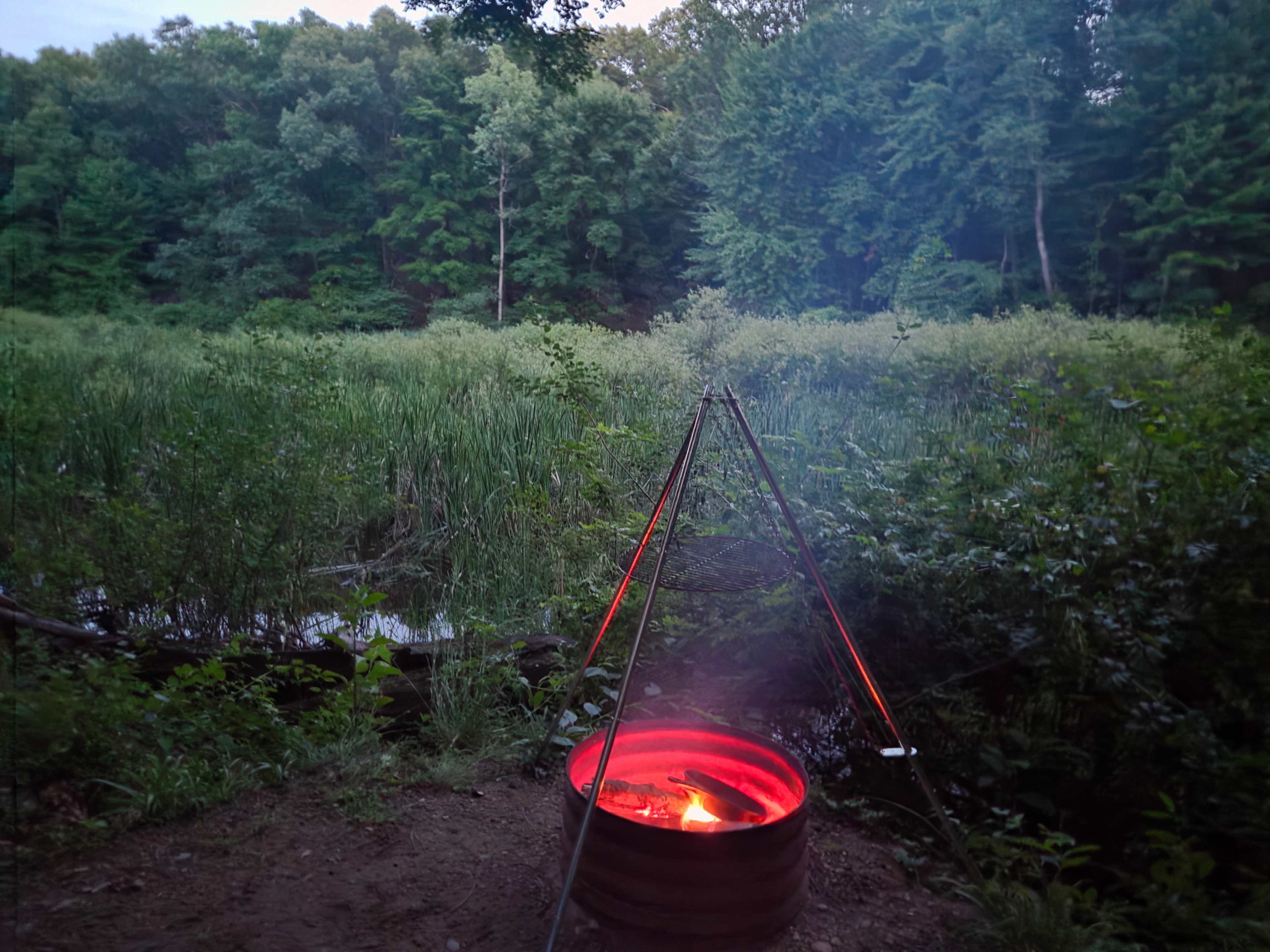 Mulligan's Valley in the Woods