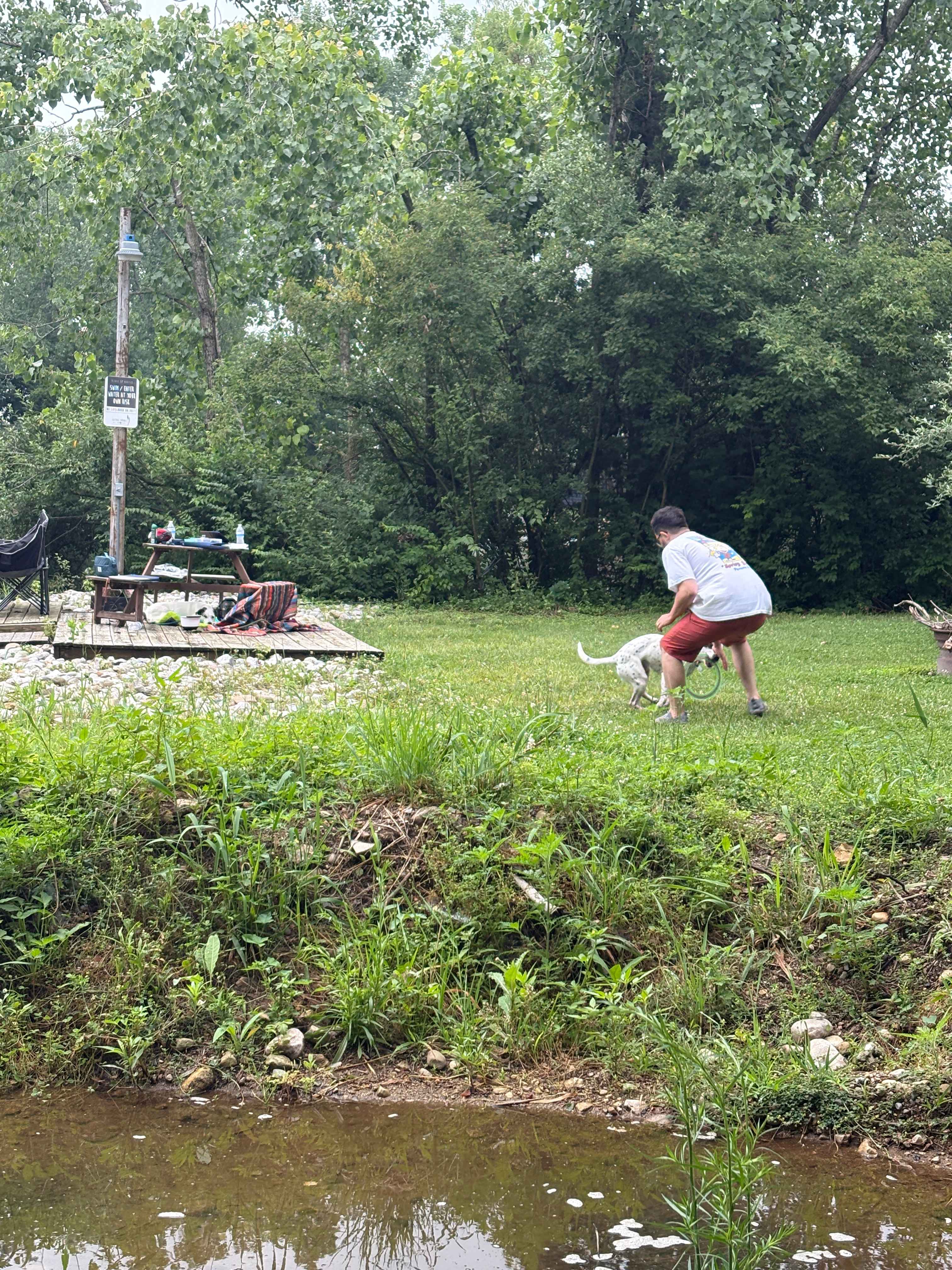 Picture of the site