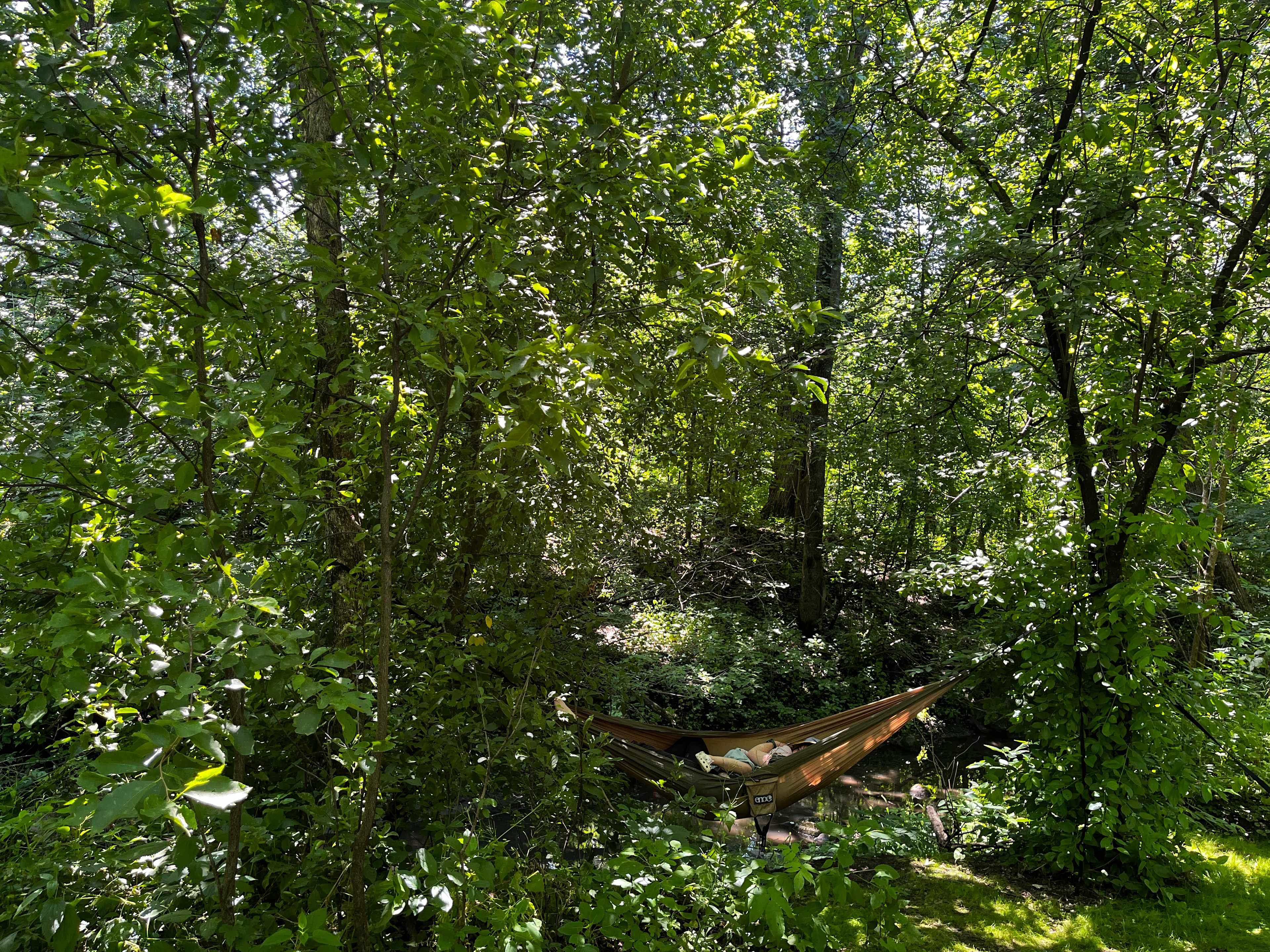 Prairie Creek Campground