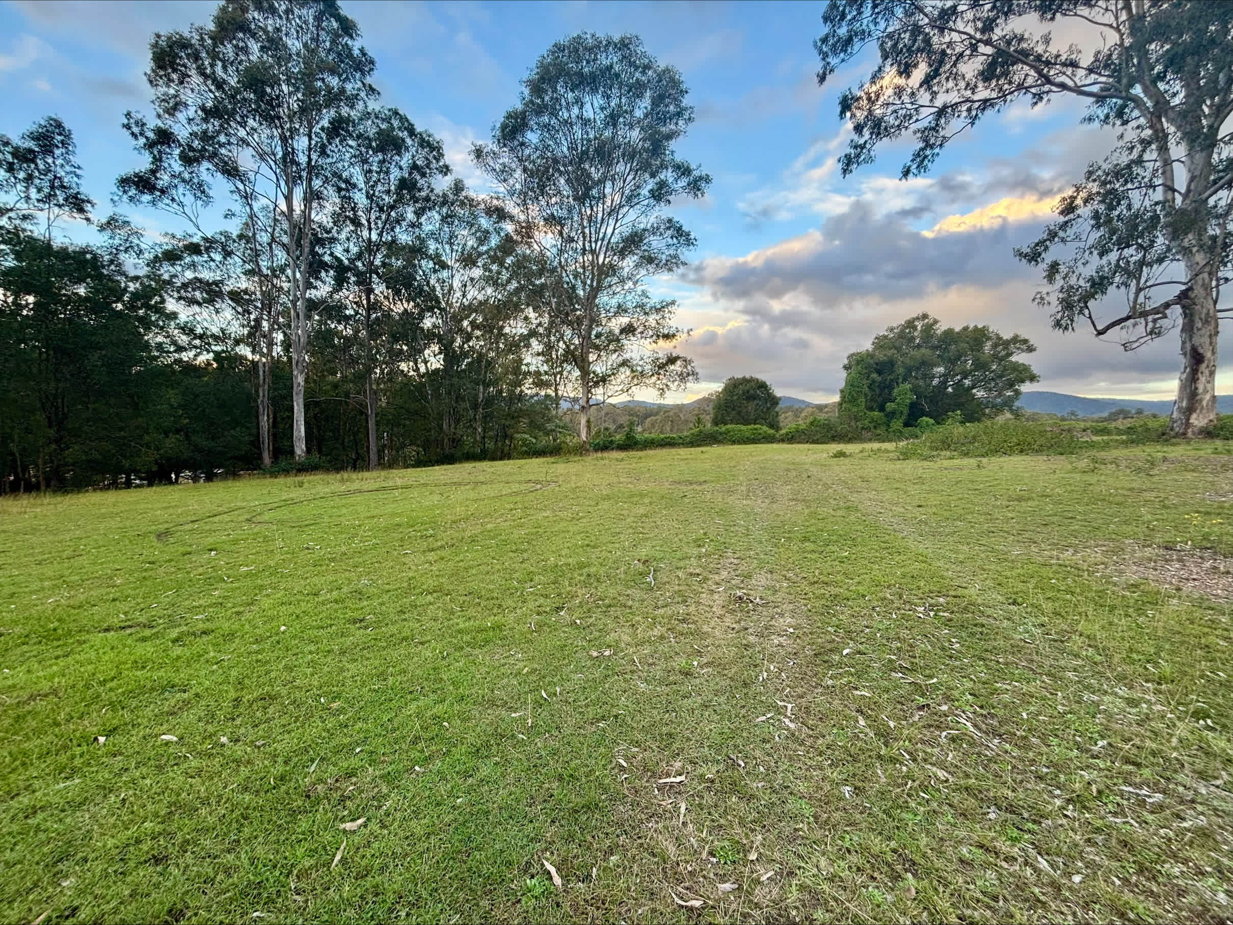 The Paddock in Tamborine