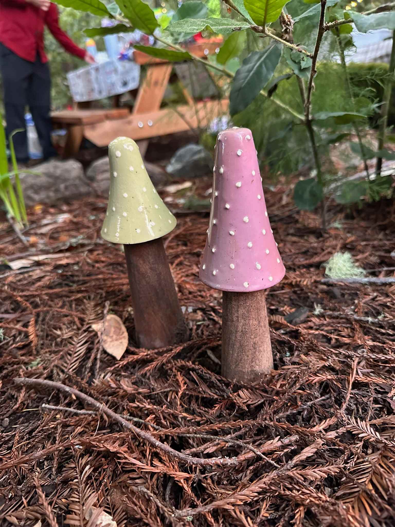 Lil mushrooms