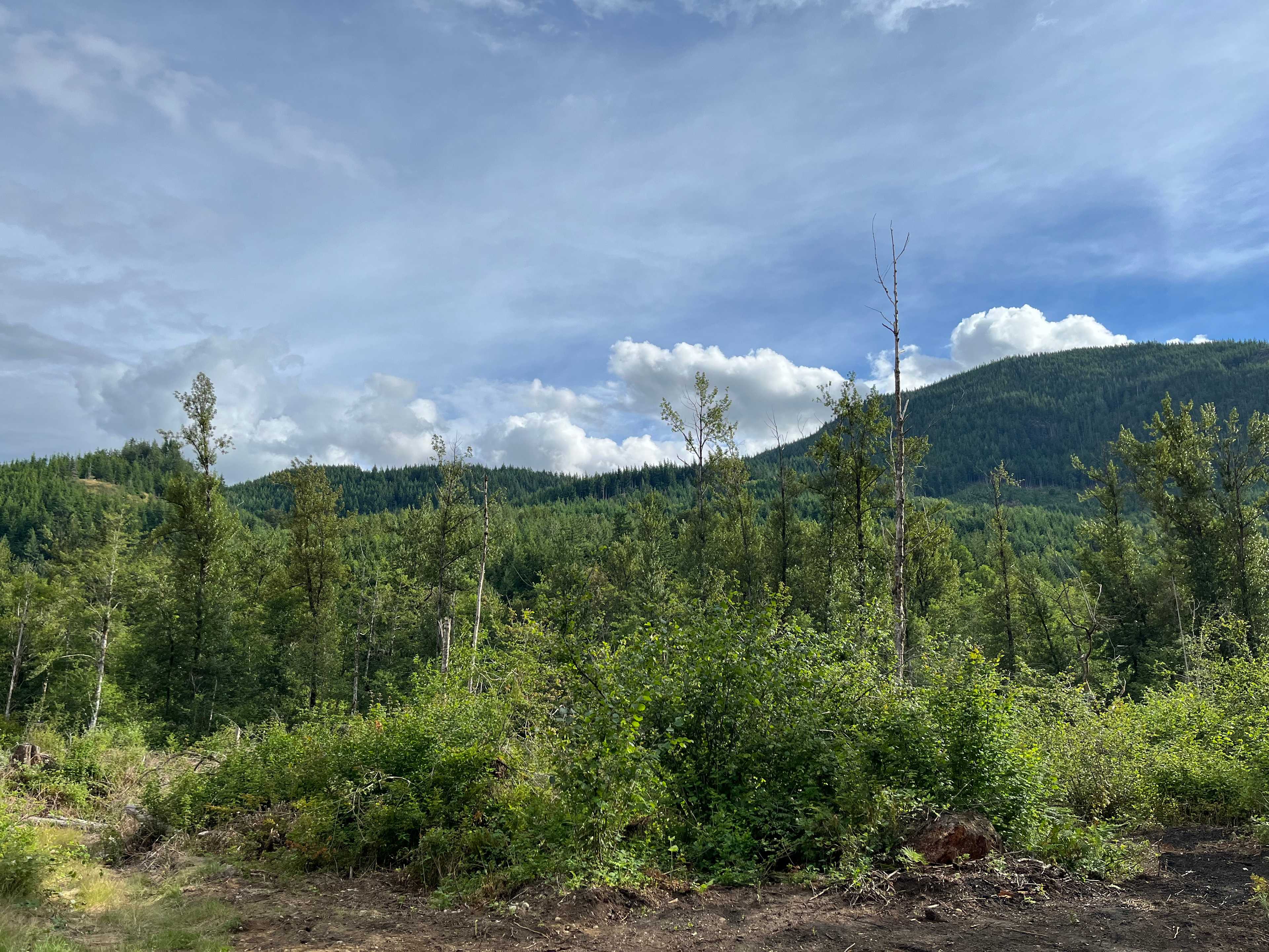View from fire pit
