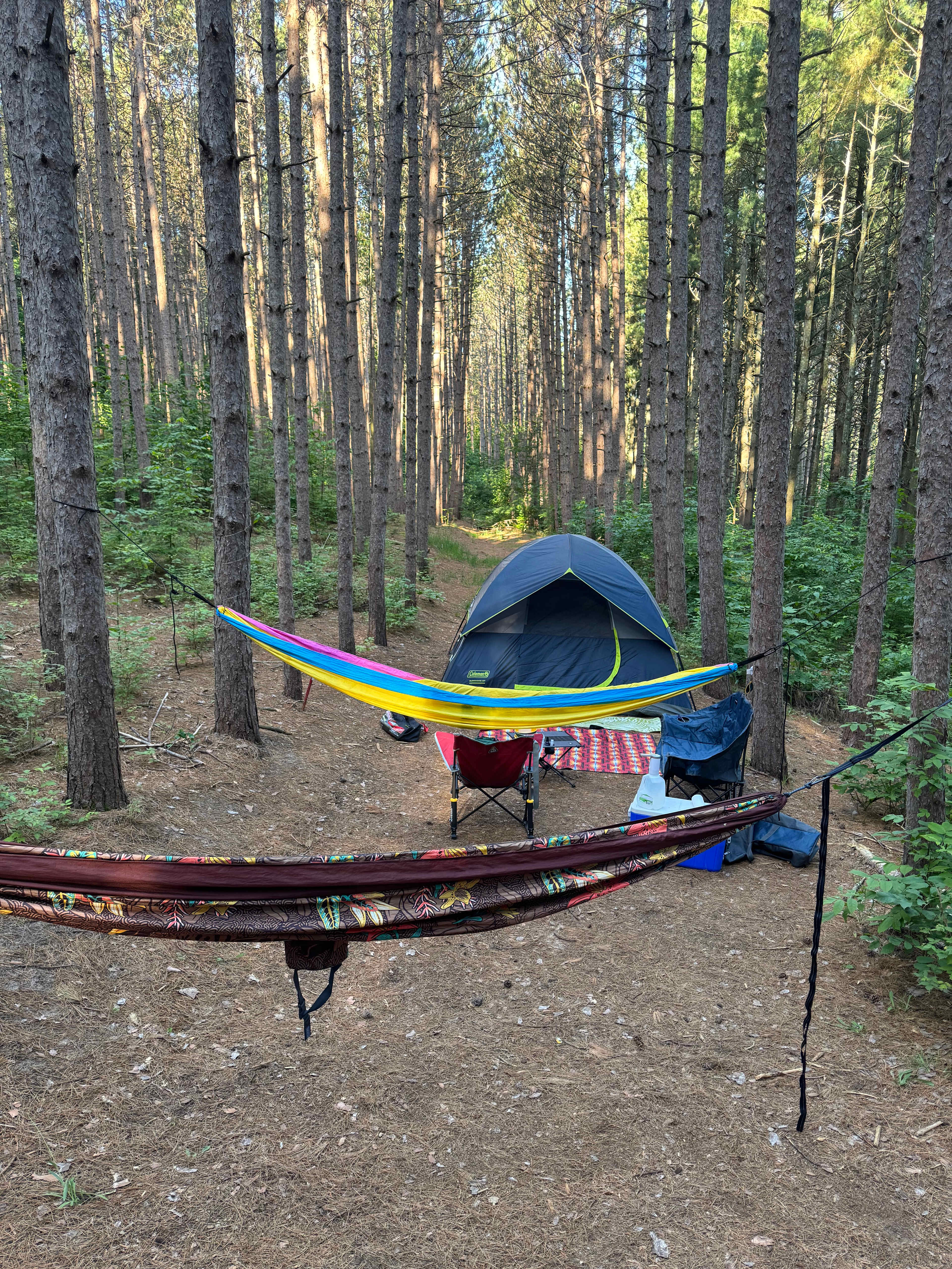 Camp Moonshadow