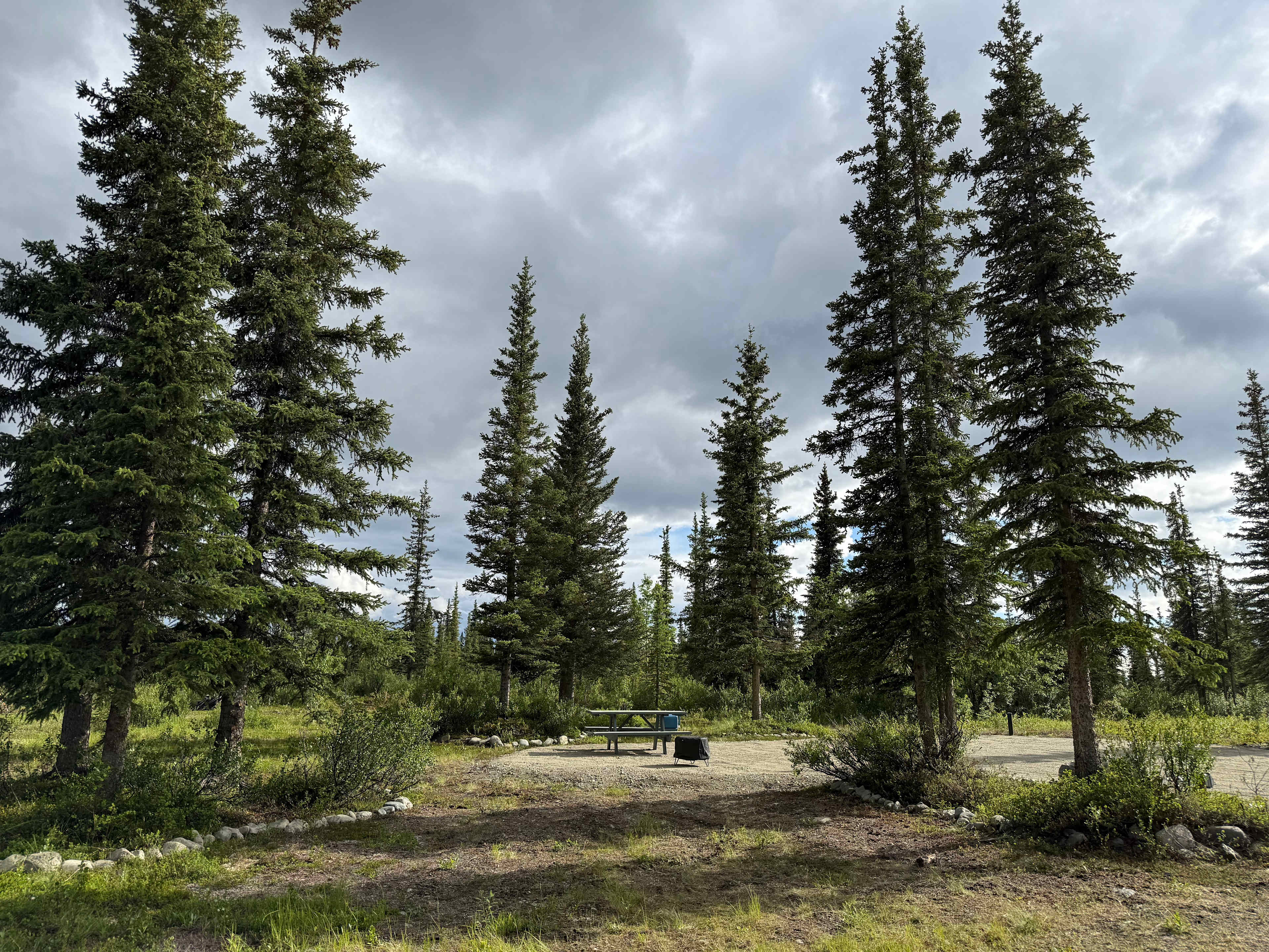 Picture of the site