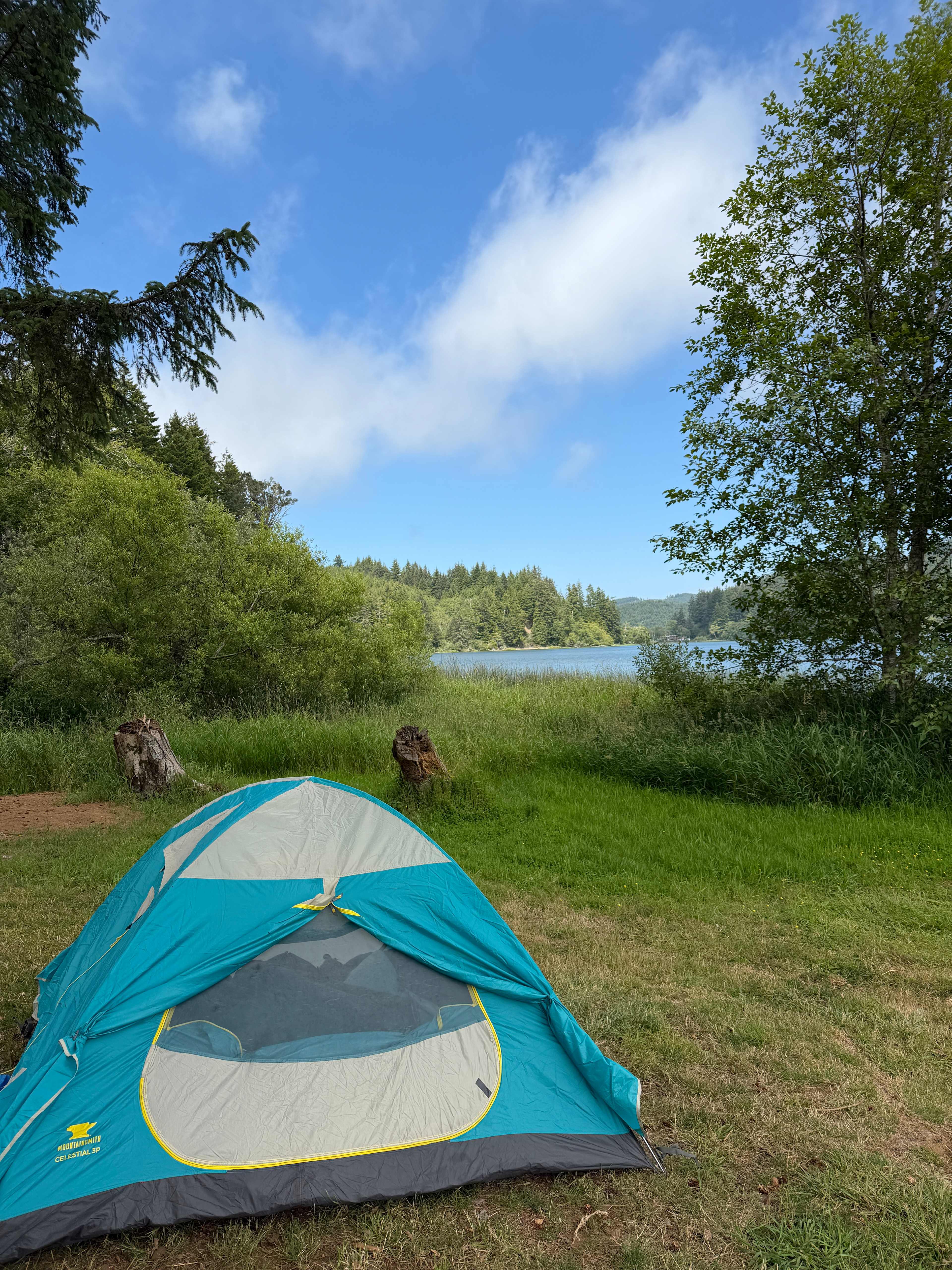 Lakeside Forest