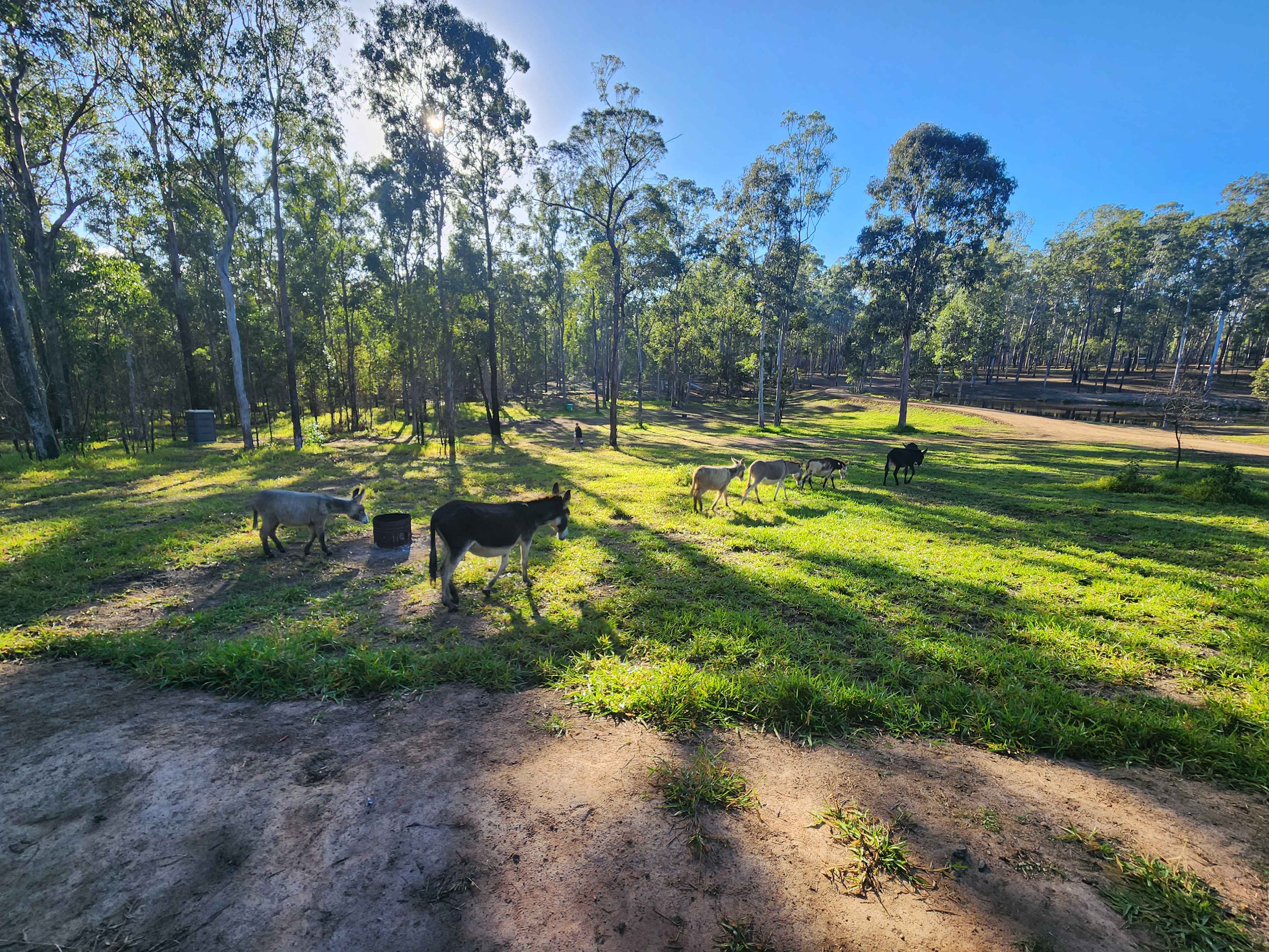 Hidden Camp Farm Stay