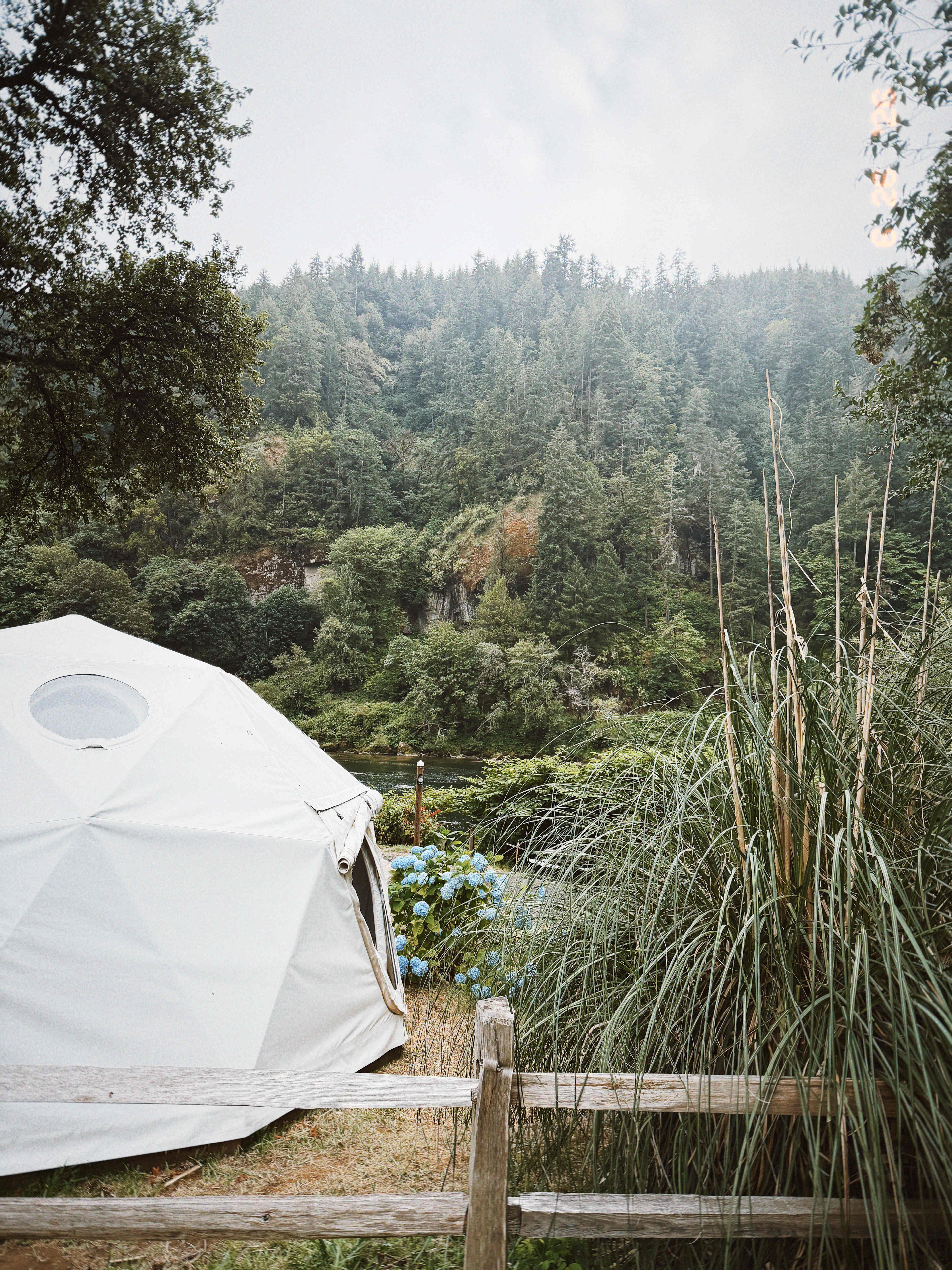 Tide's Reach of the Umpqua
