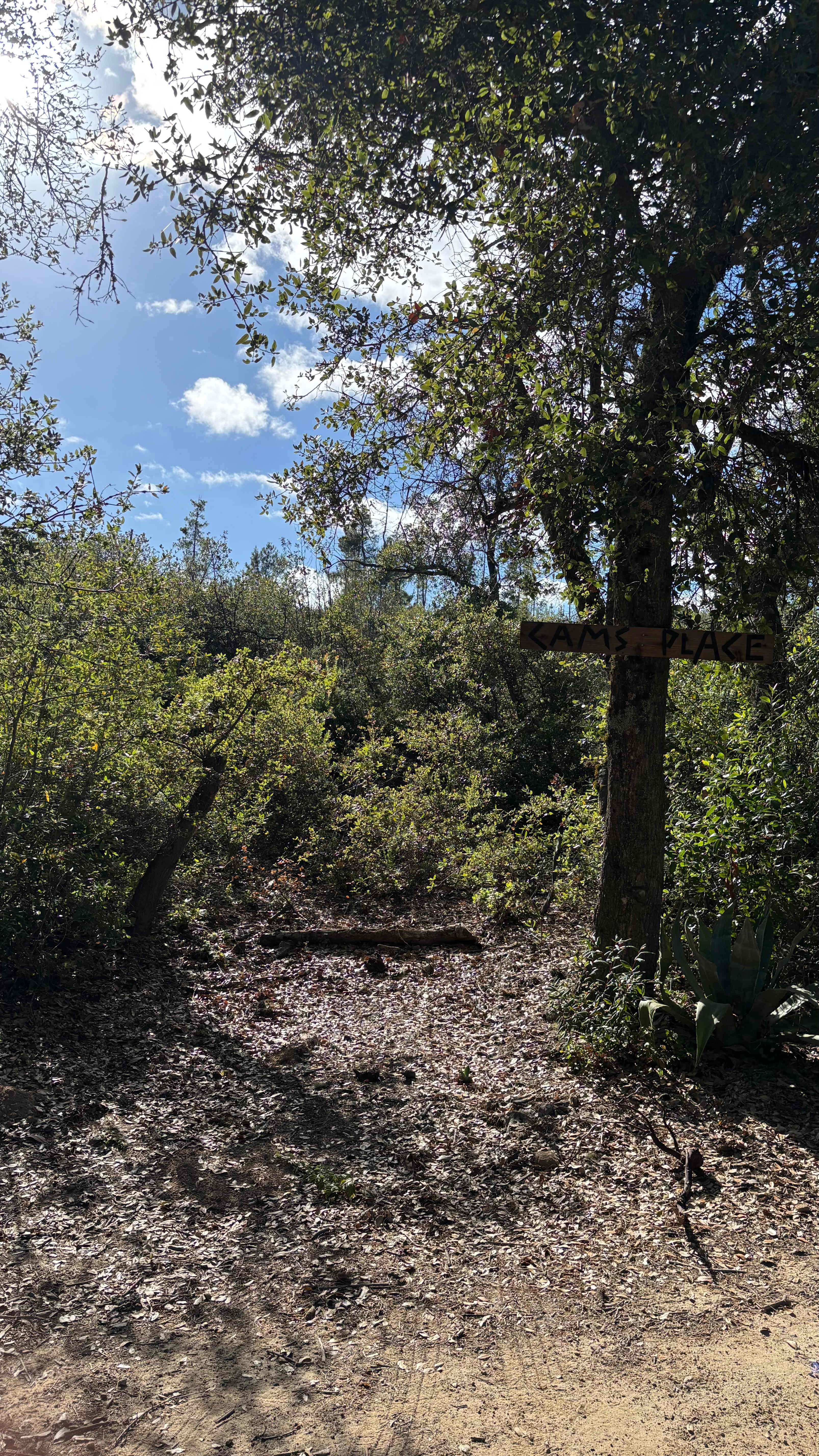 Camp Rewilding