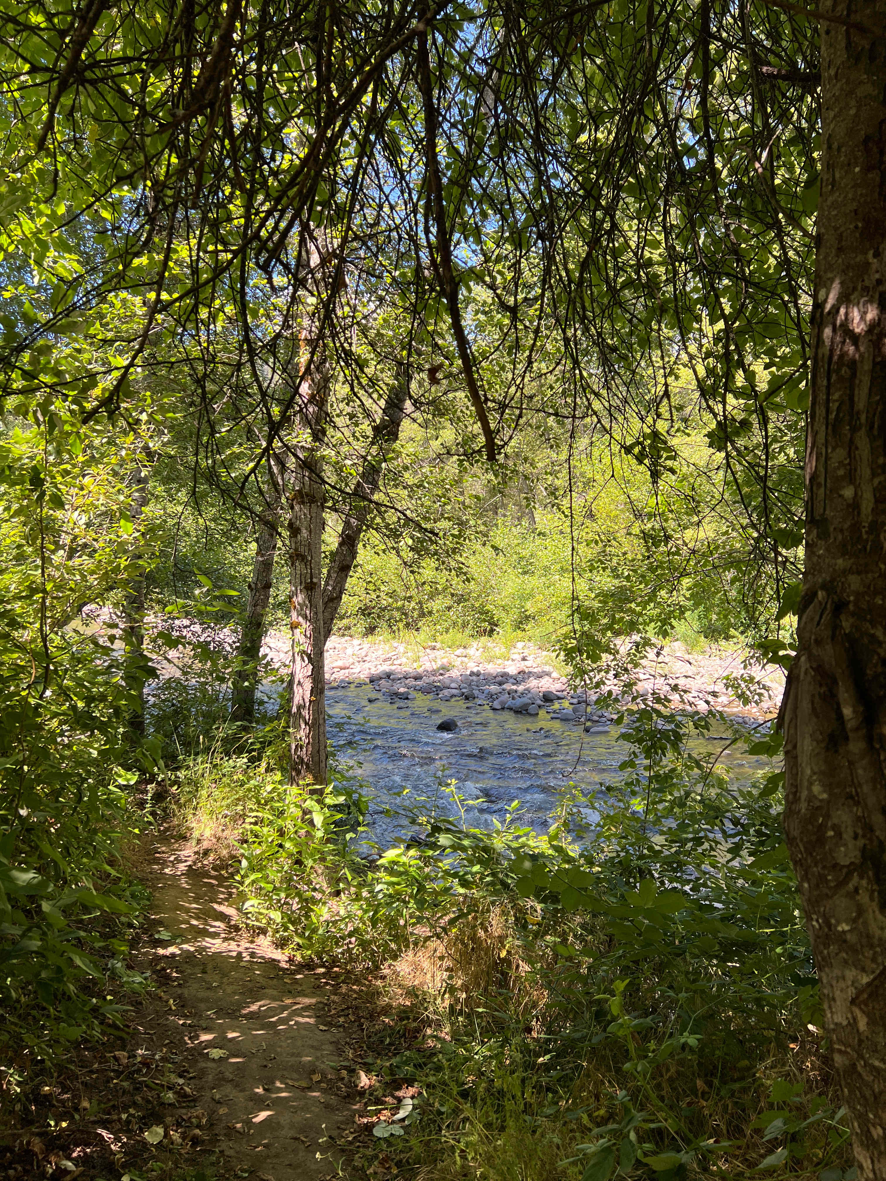 The creek trail