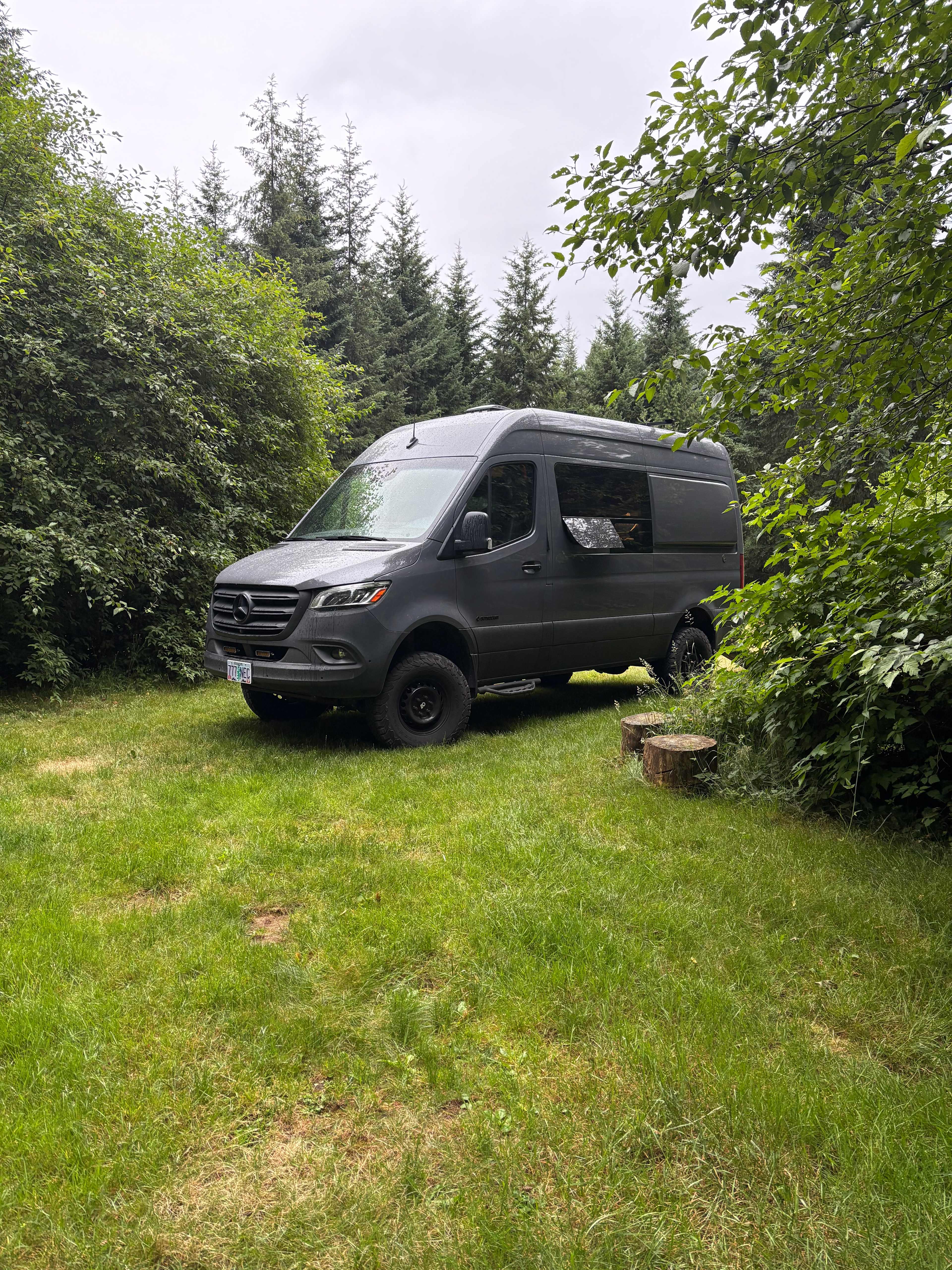 Cedar Root at Highland Butte