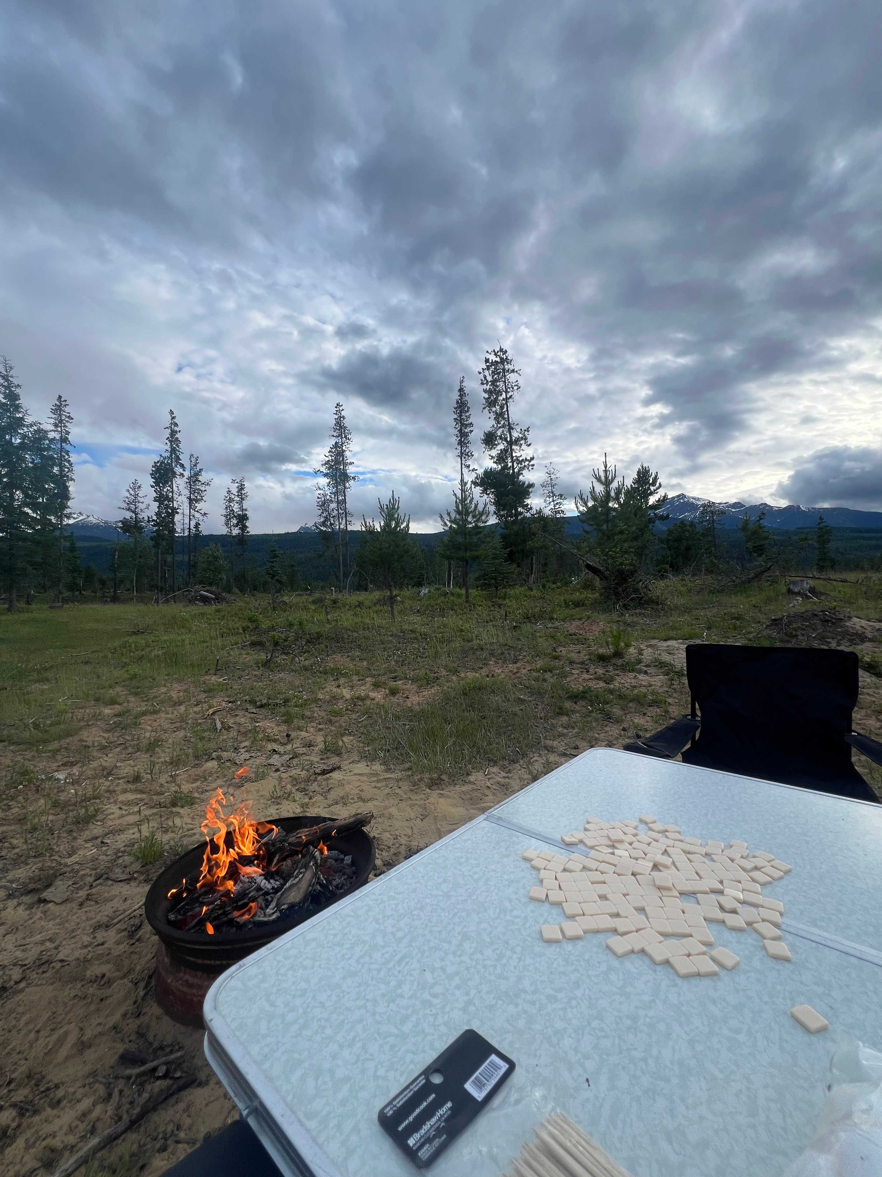 Fuzzy Buddy Ranch