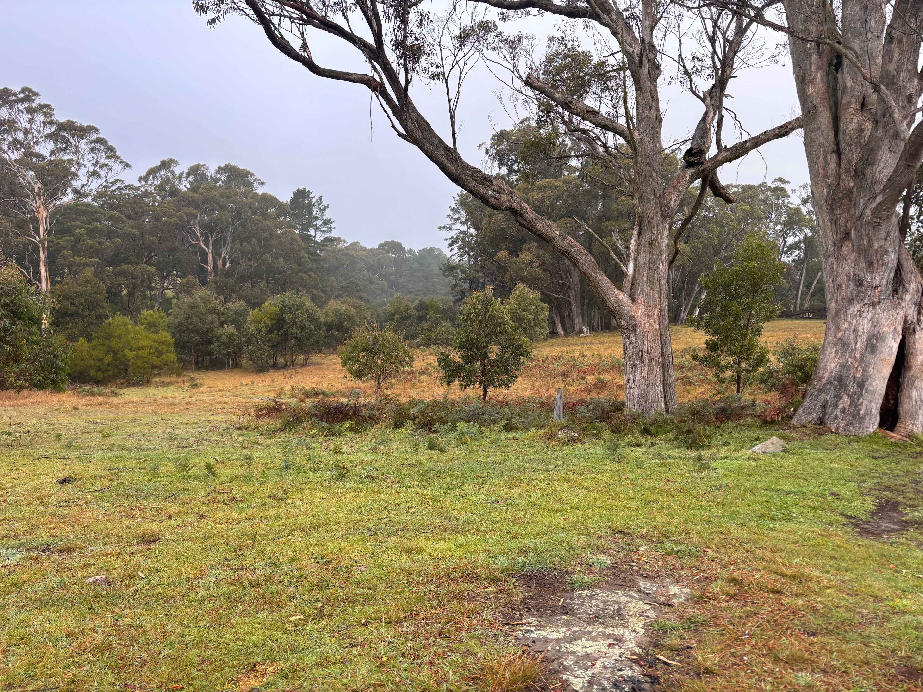 Hidden Brook Southern Highlands NSW
