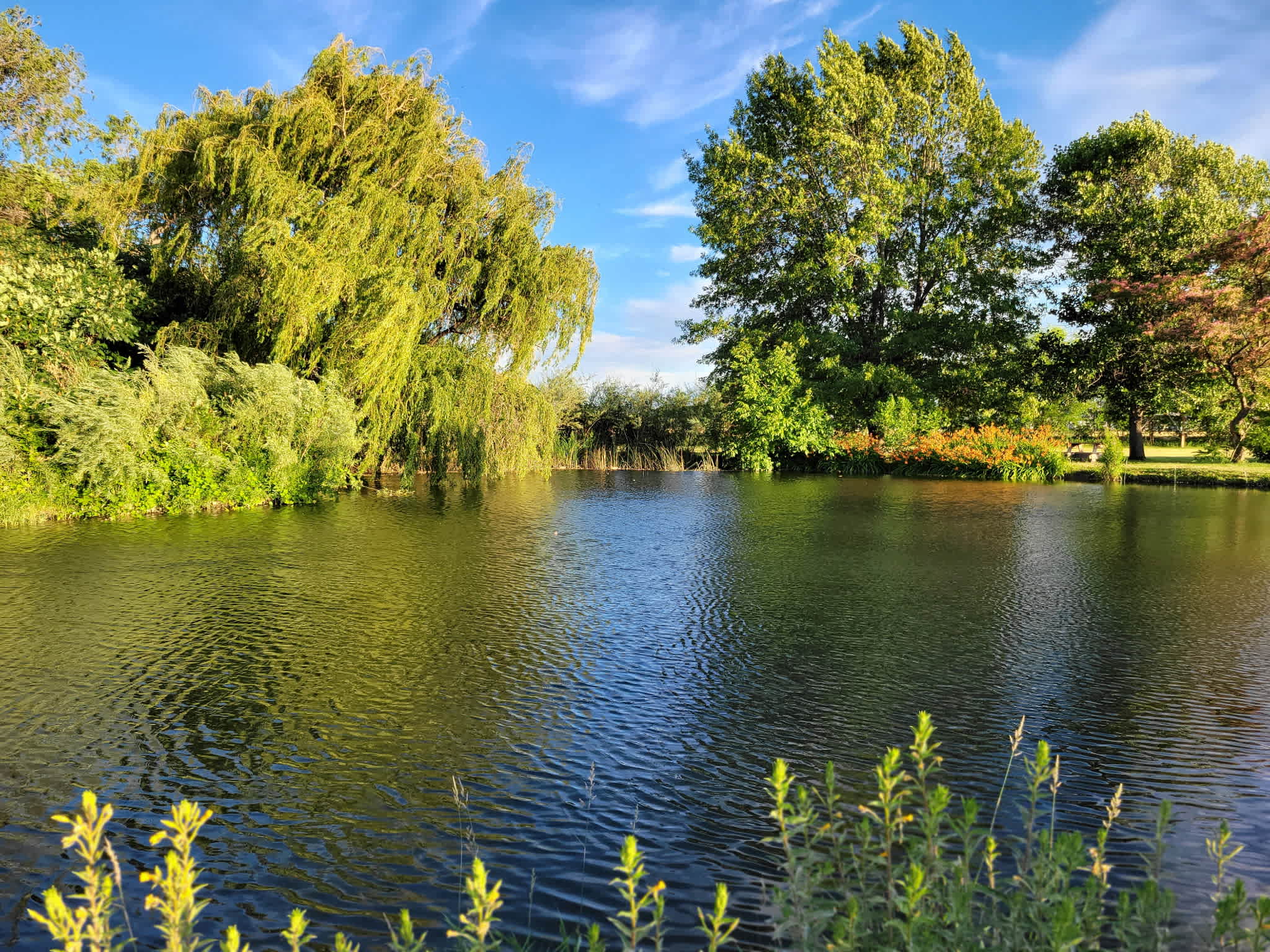 Willow Barn Ranch