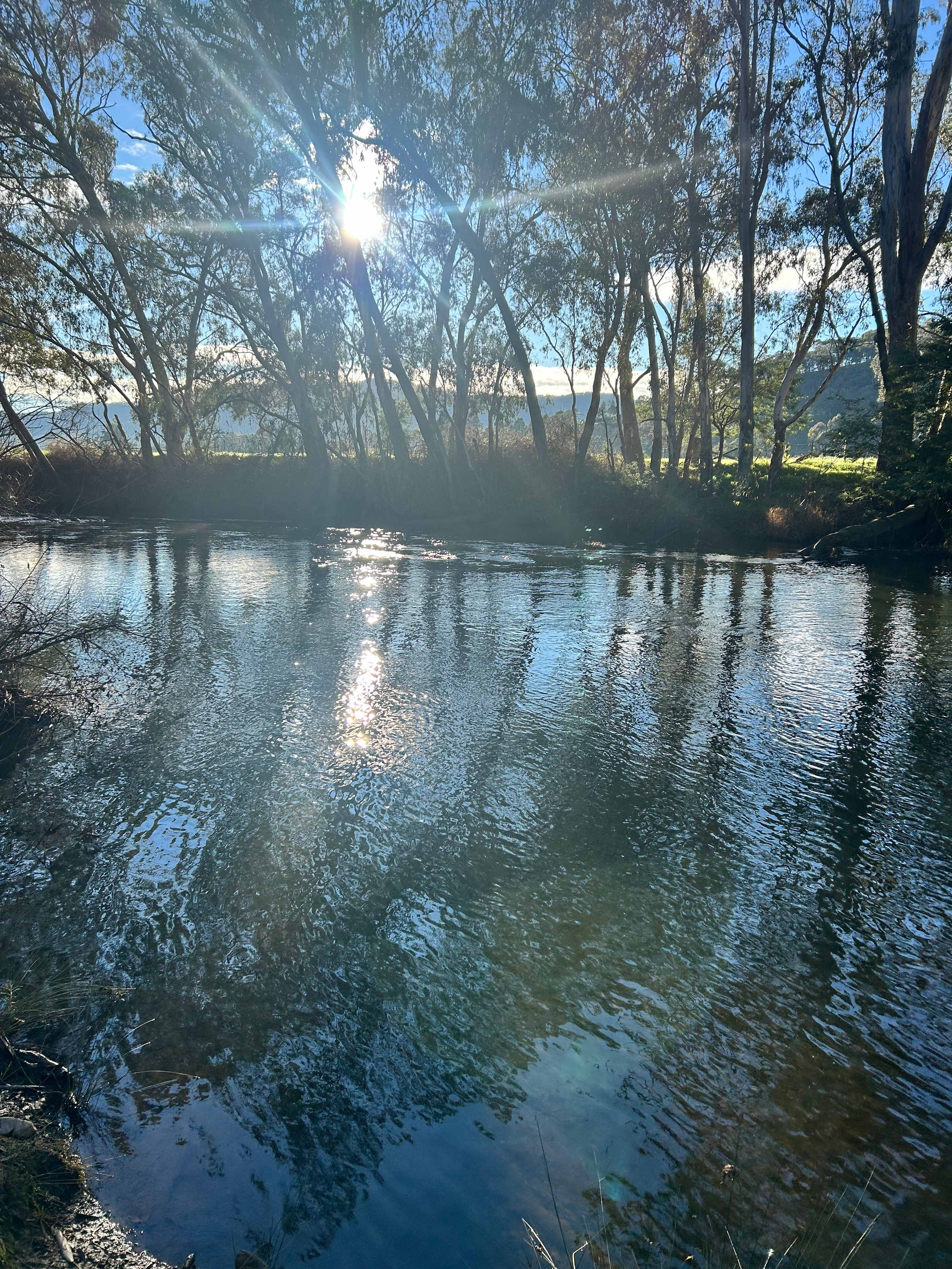 Riverside King Valley