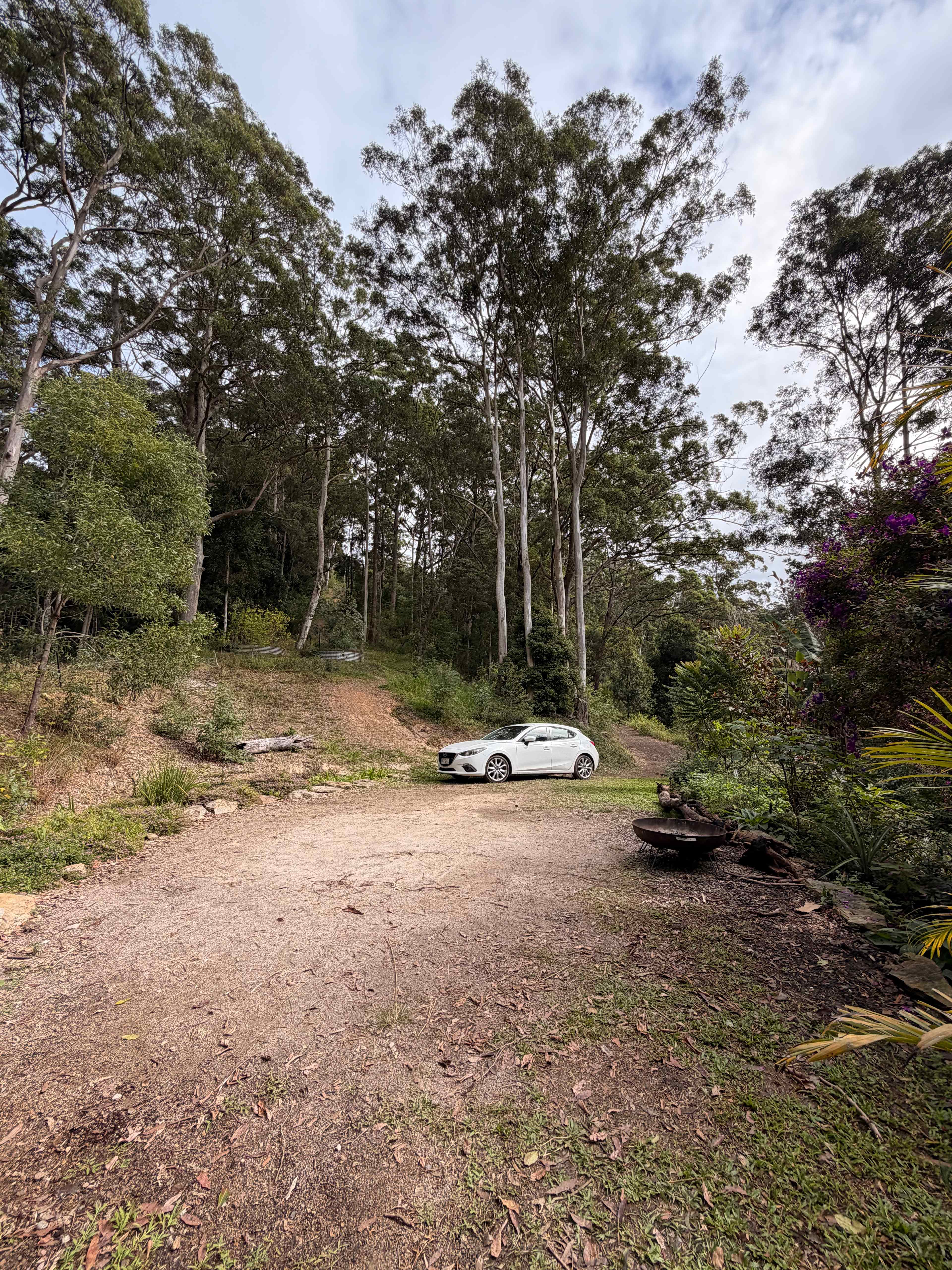 Sustainable Secluded Forestry Camp