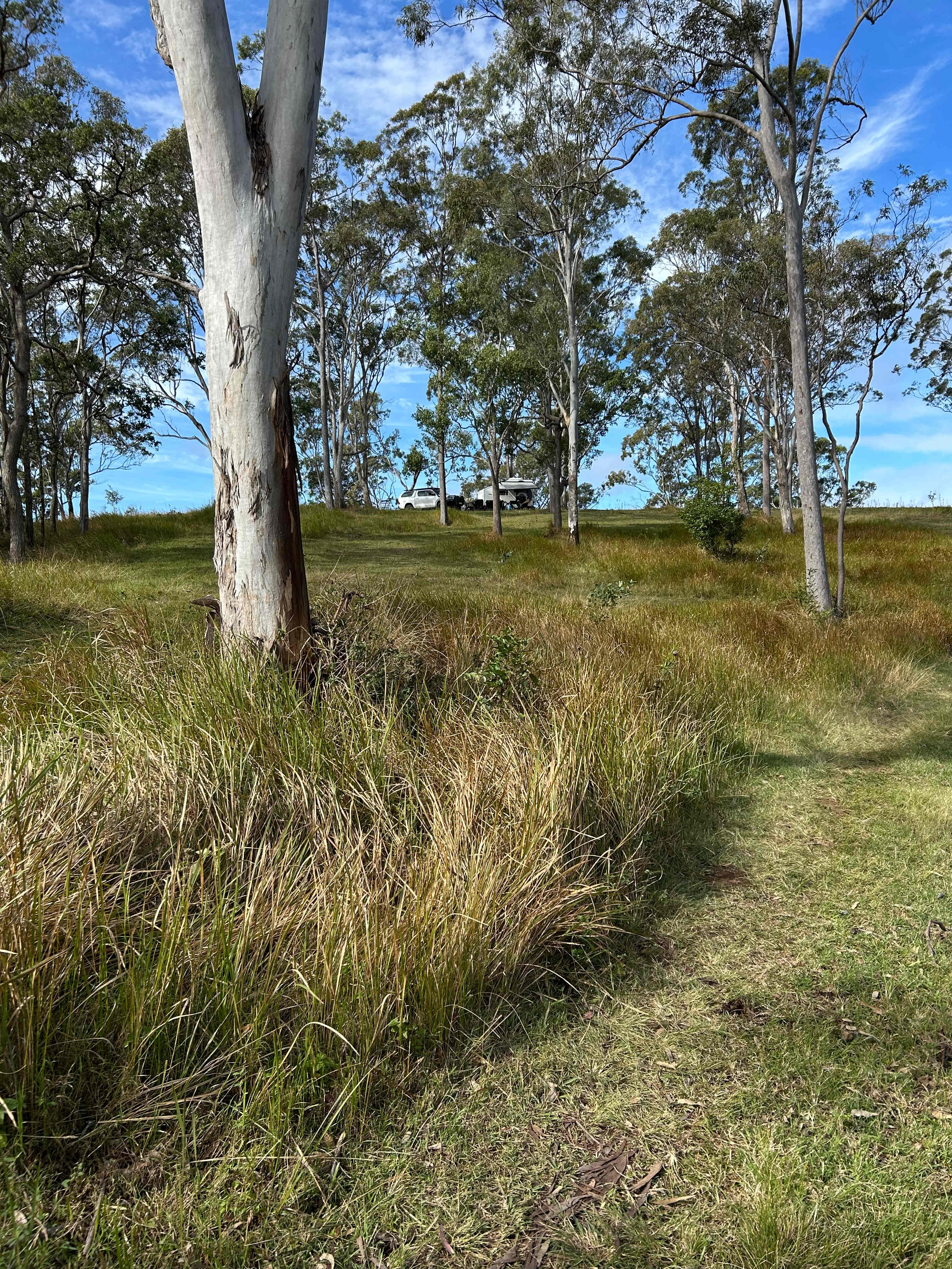 Walking track to the west of our site & looking up to the east. 