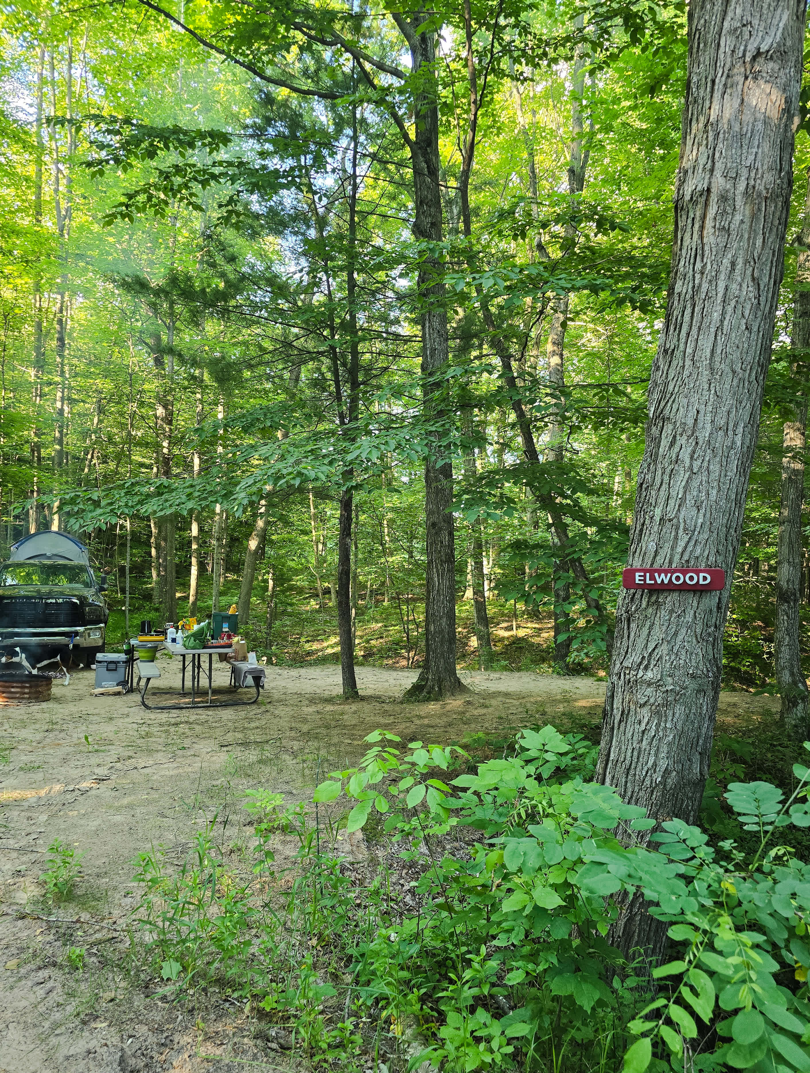 Up North Rivers Camping