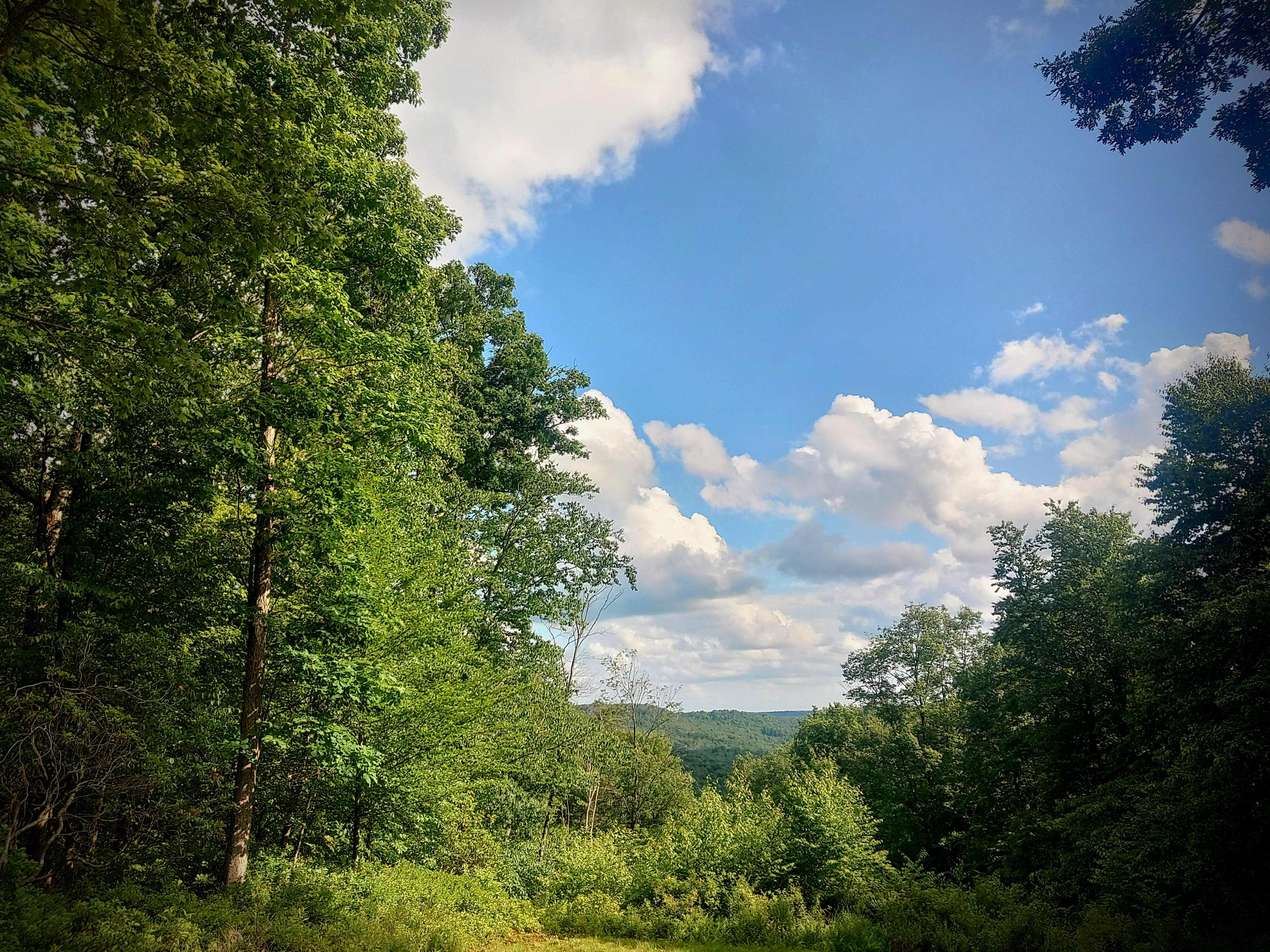 Looking out past site 2