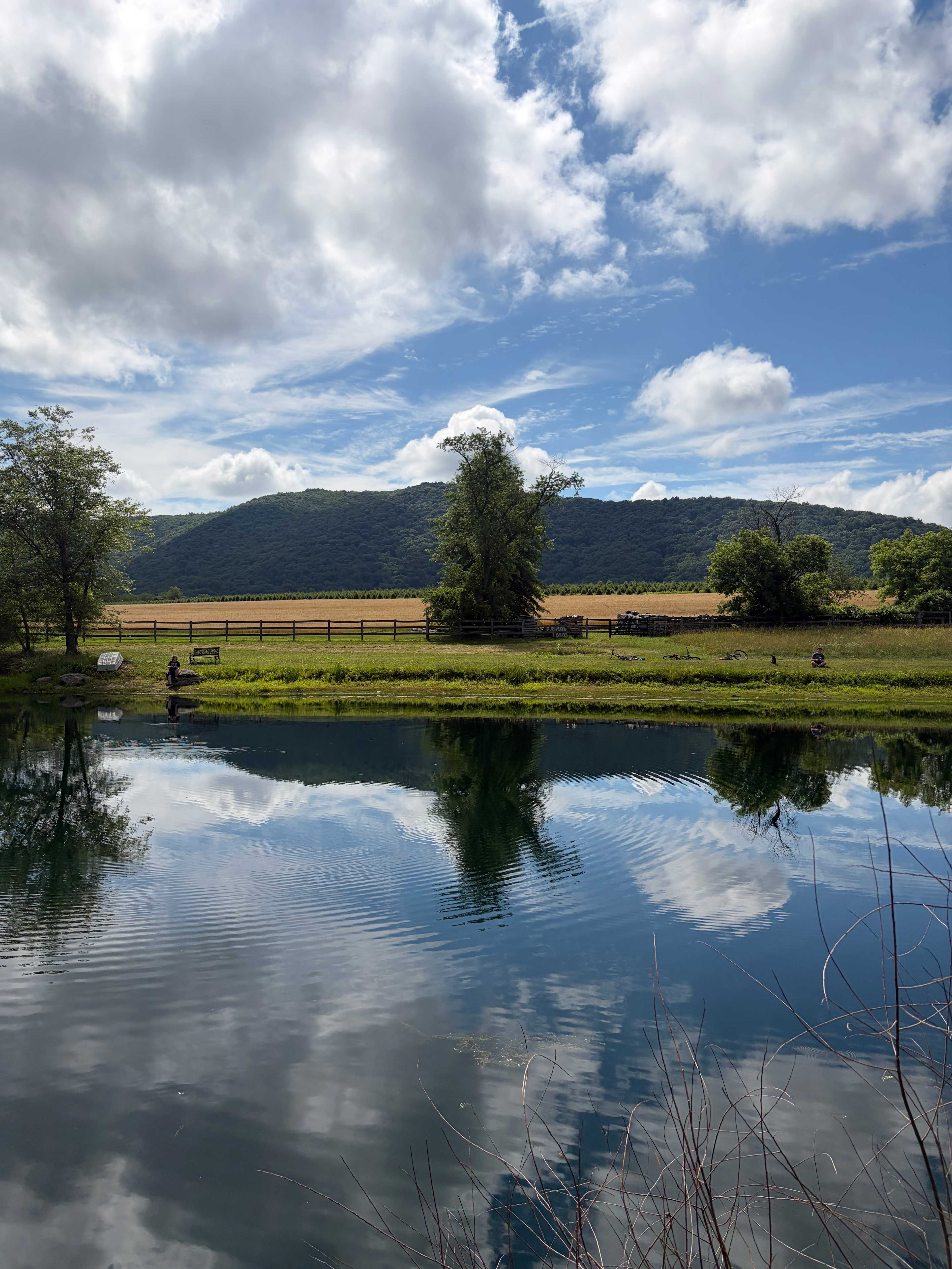 Pond
