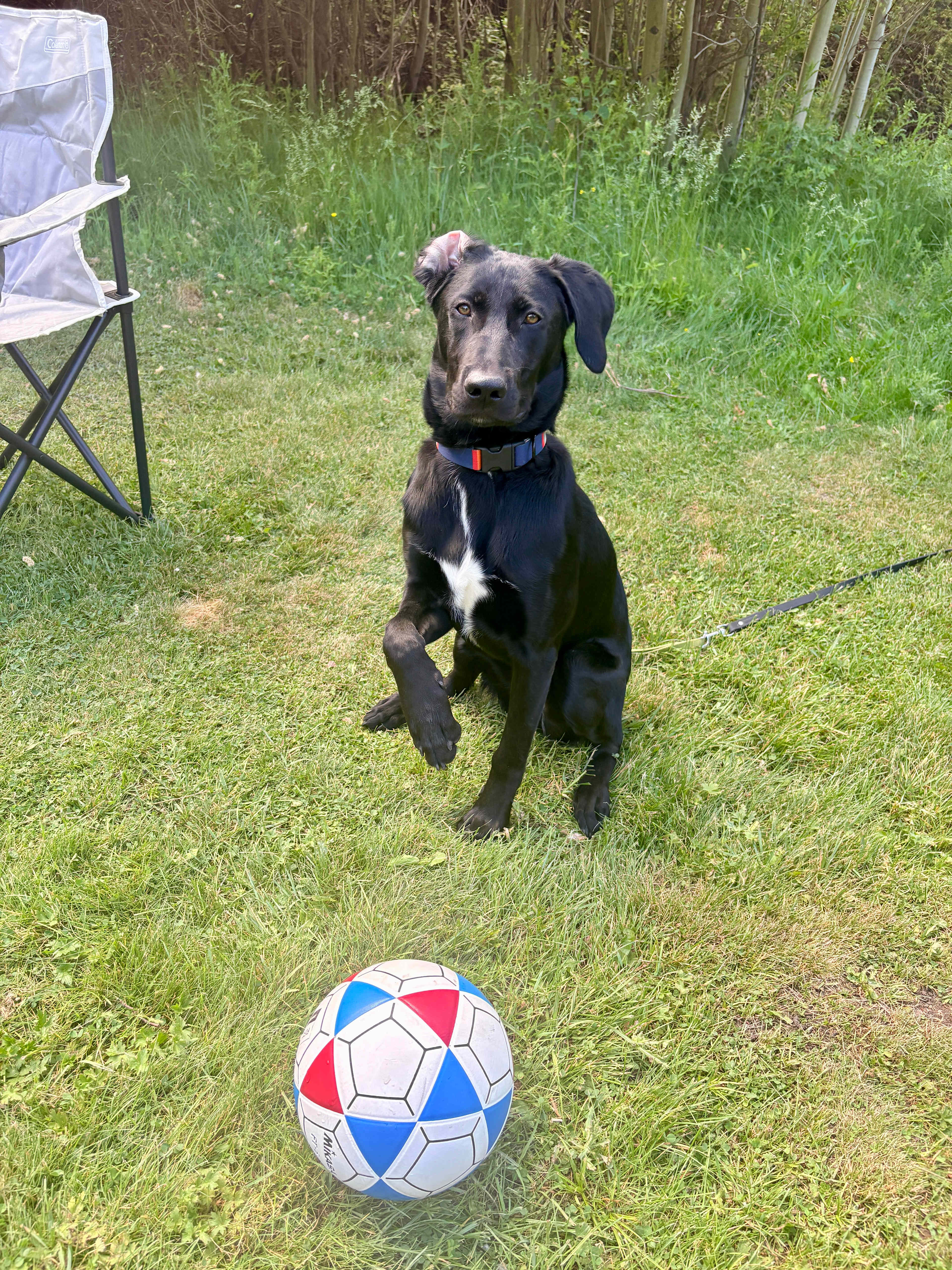 play time 