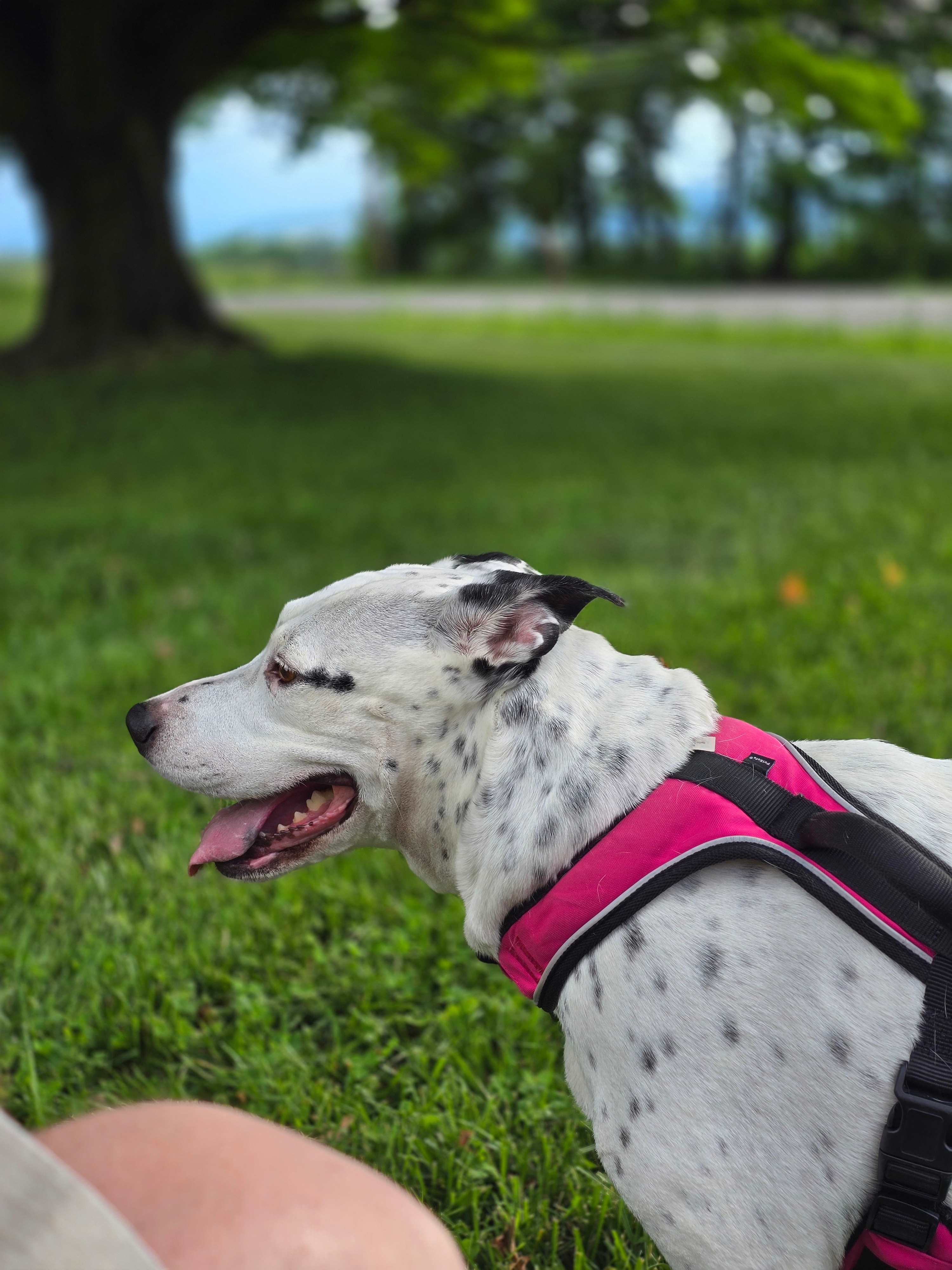 Catching fresh air
