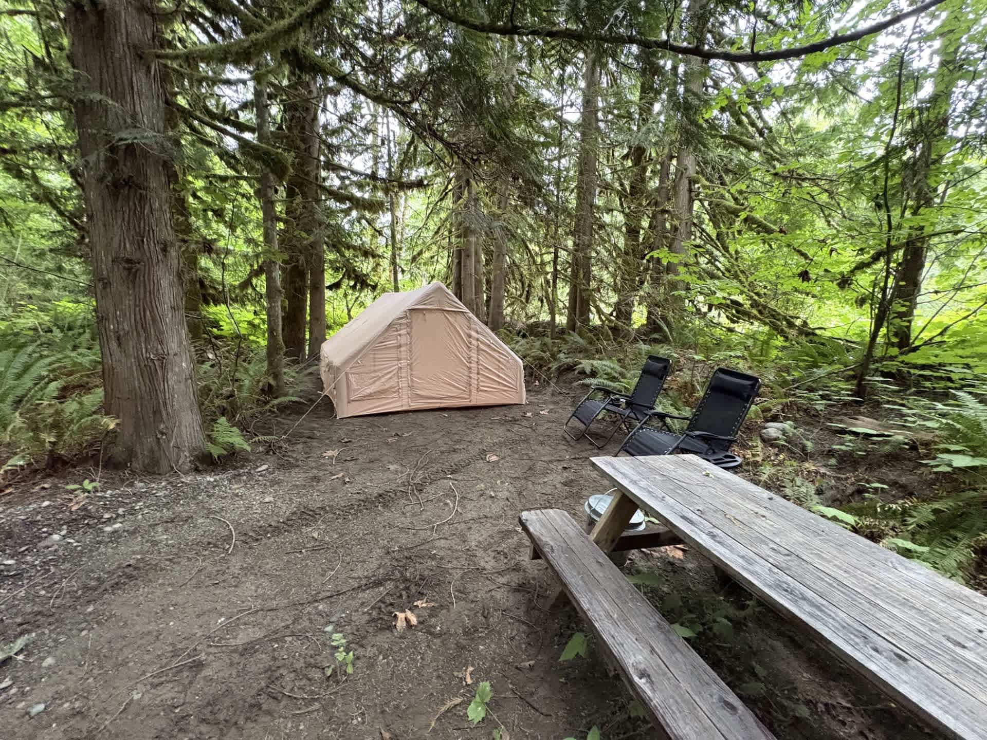 Picture of the site