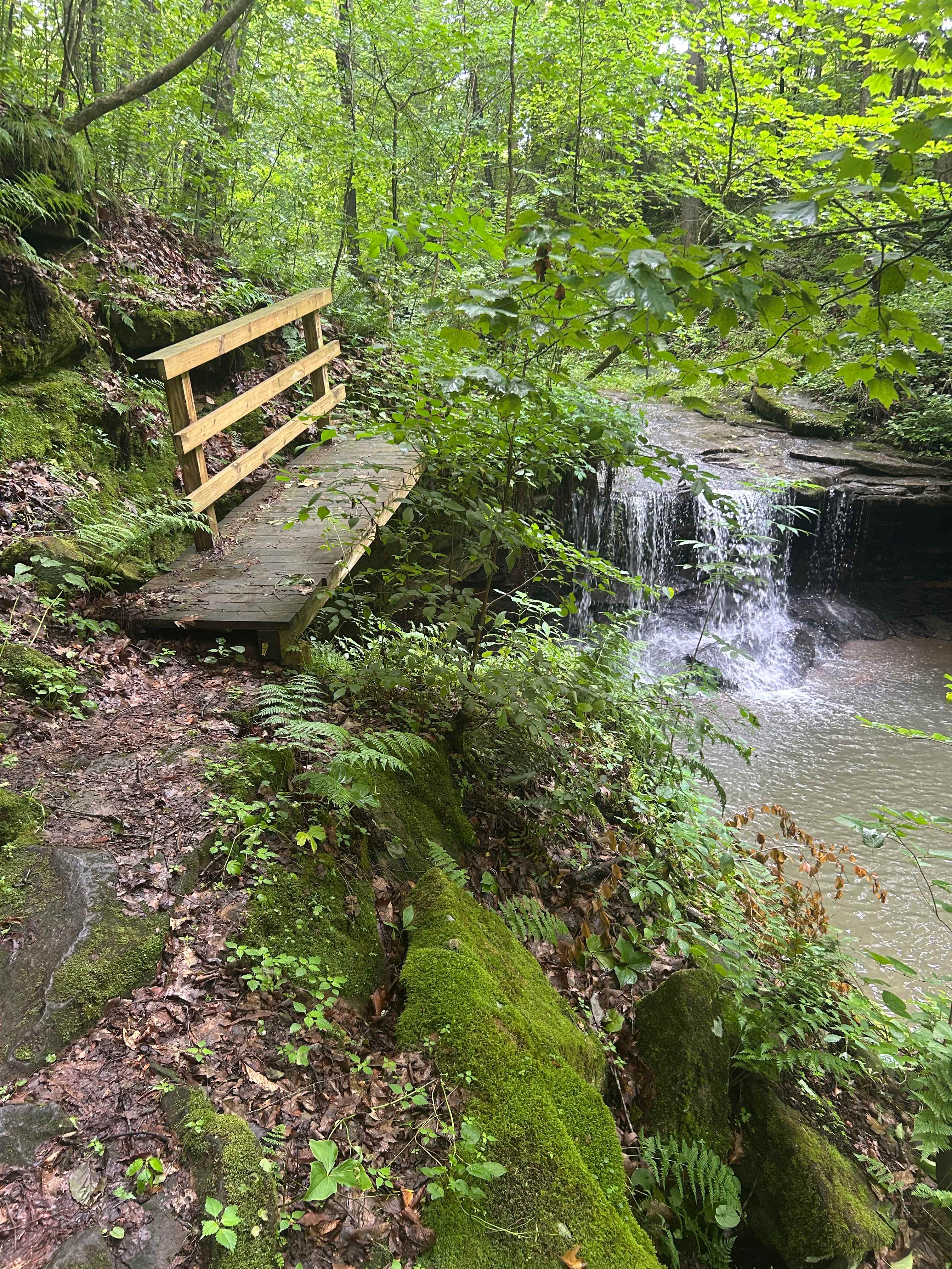 River Hills Above the Allegheny