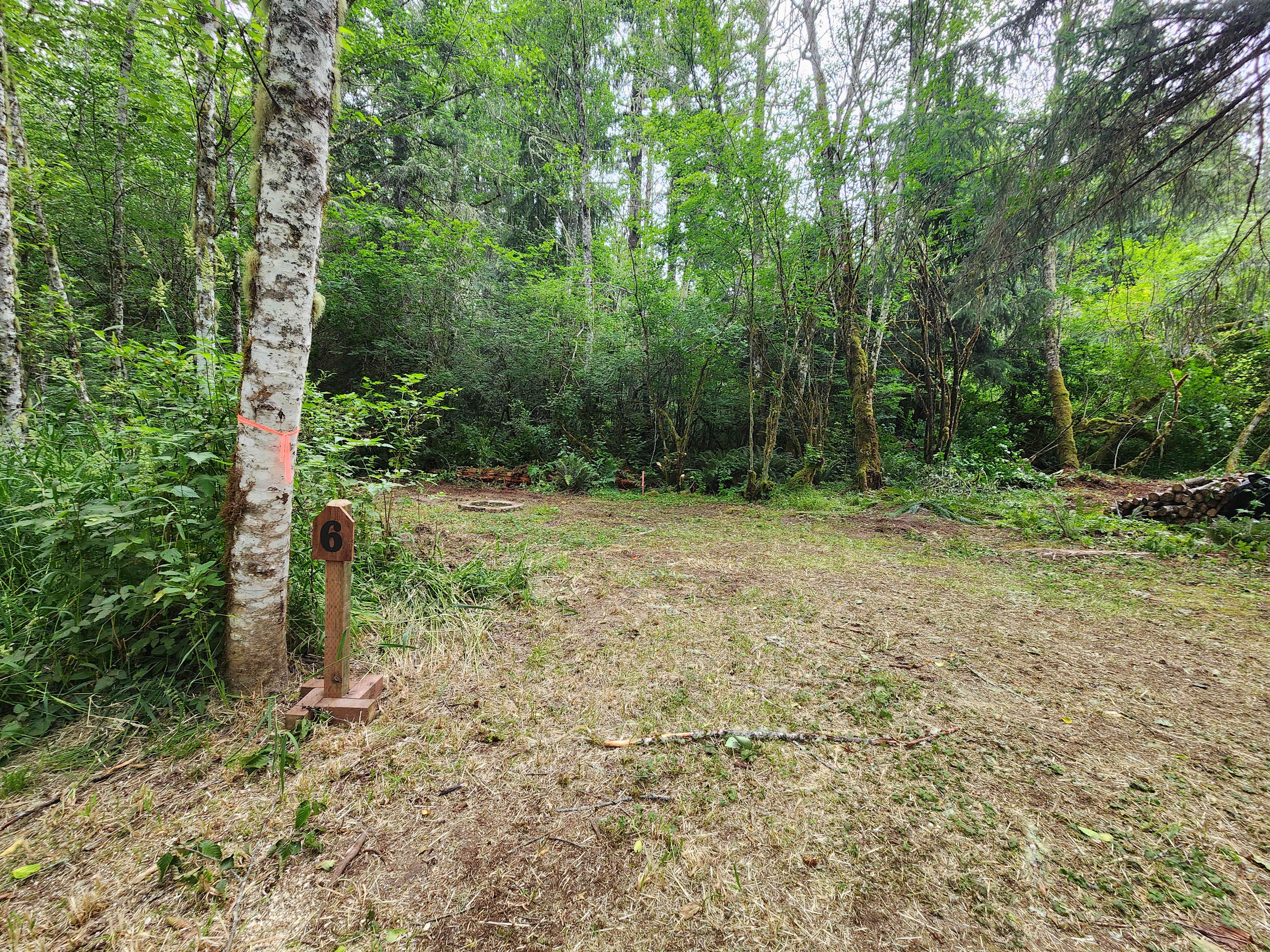 Picture of the site