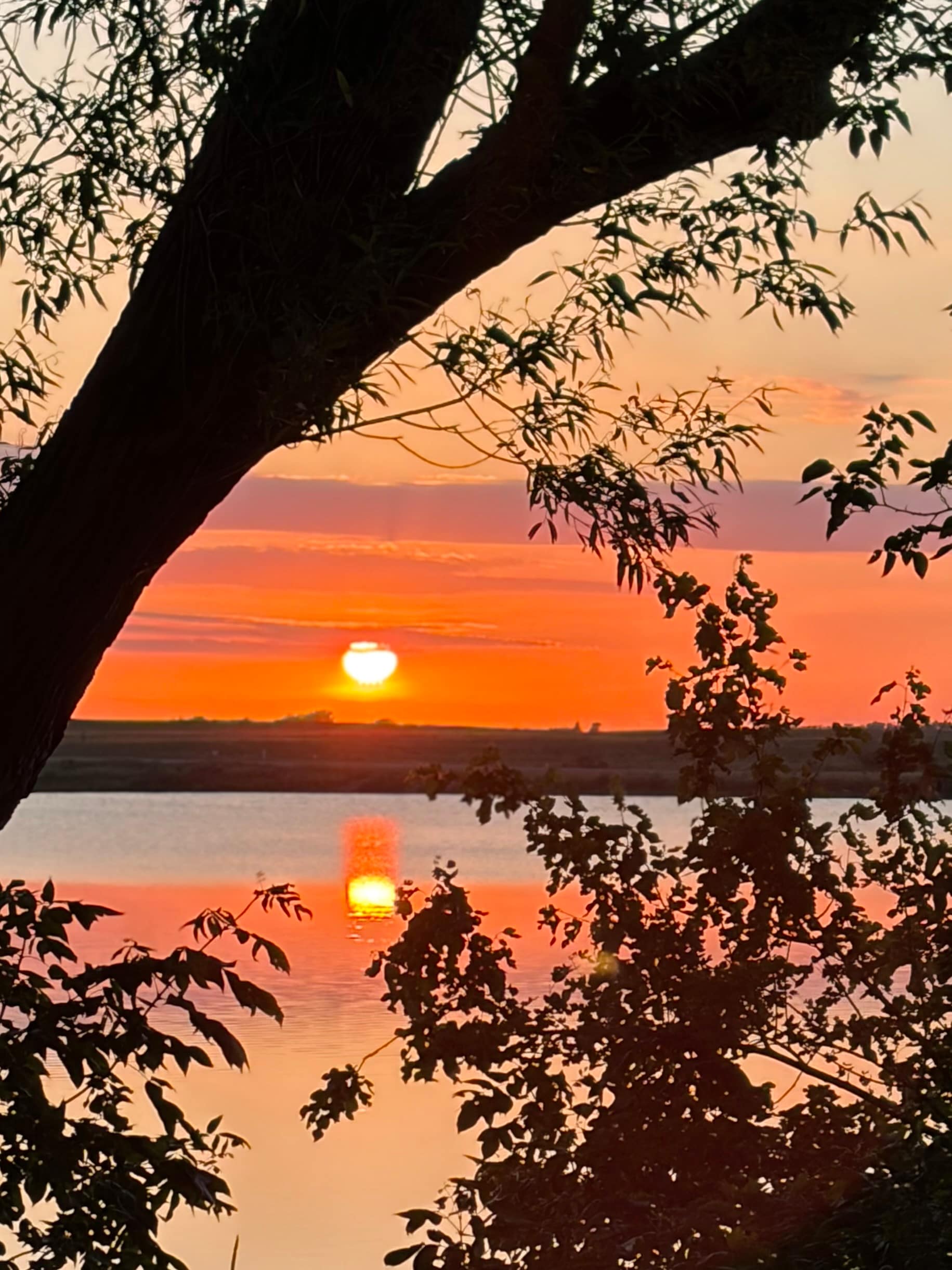 Five star sunsets!!