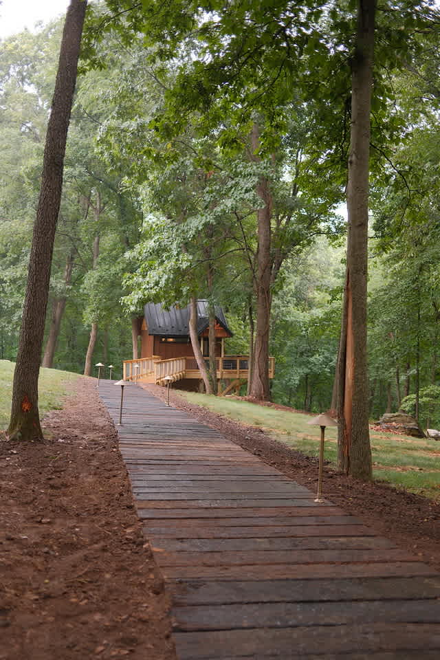 D&S Ventures: A Glamping Treehouse Experience