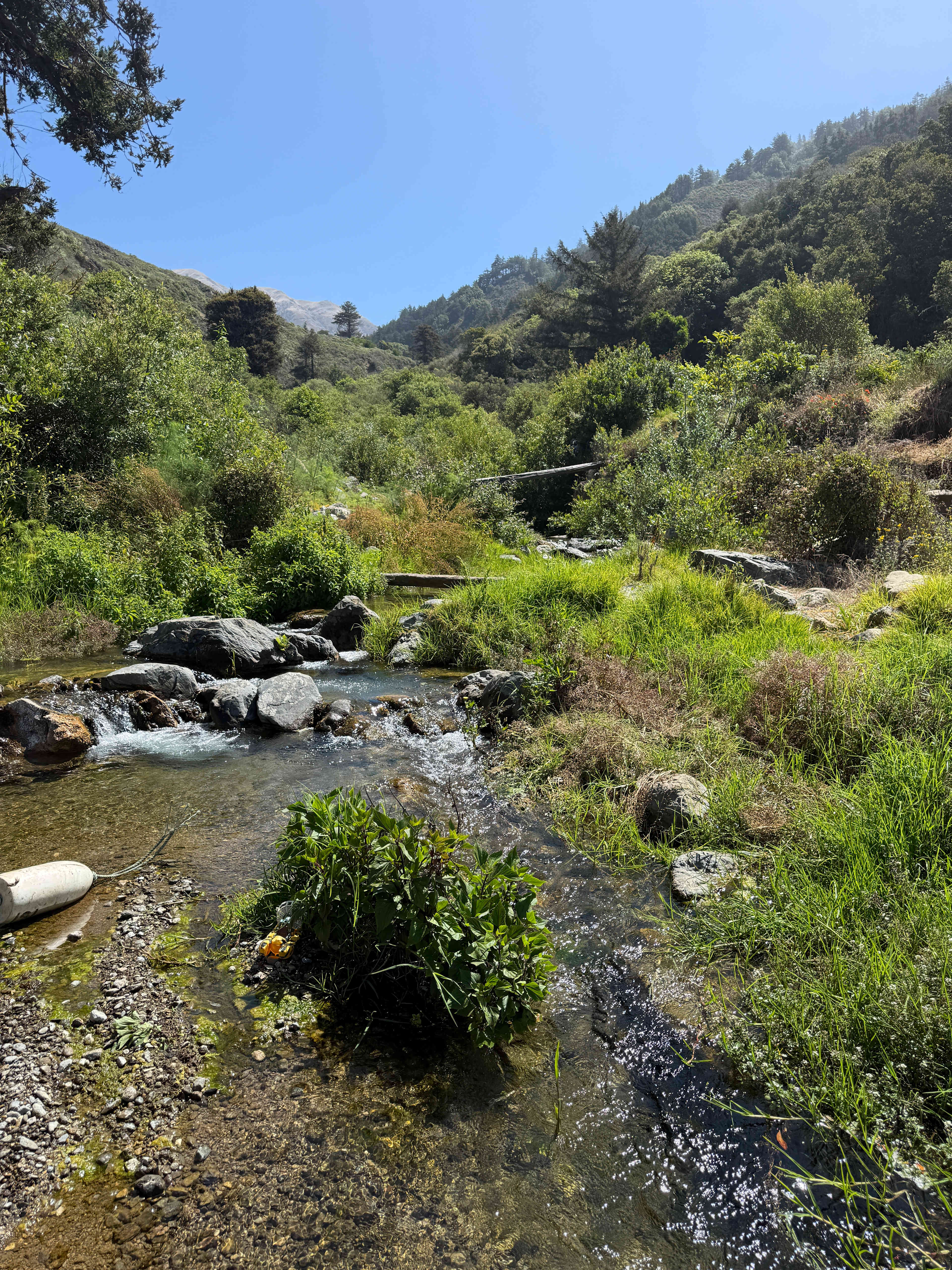 dabudage Big Sur