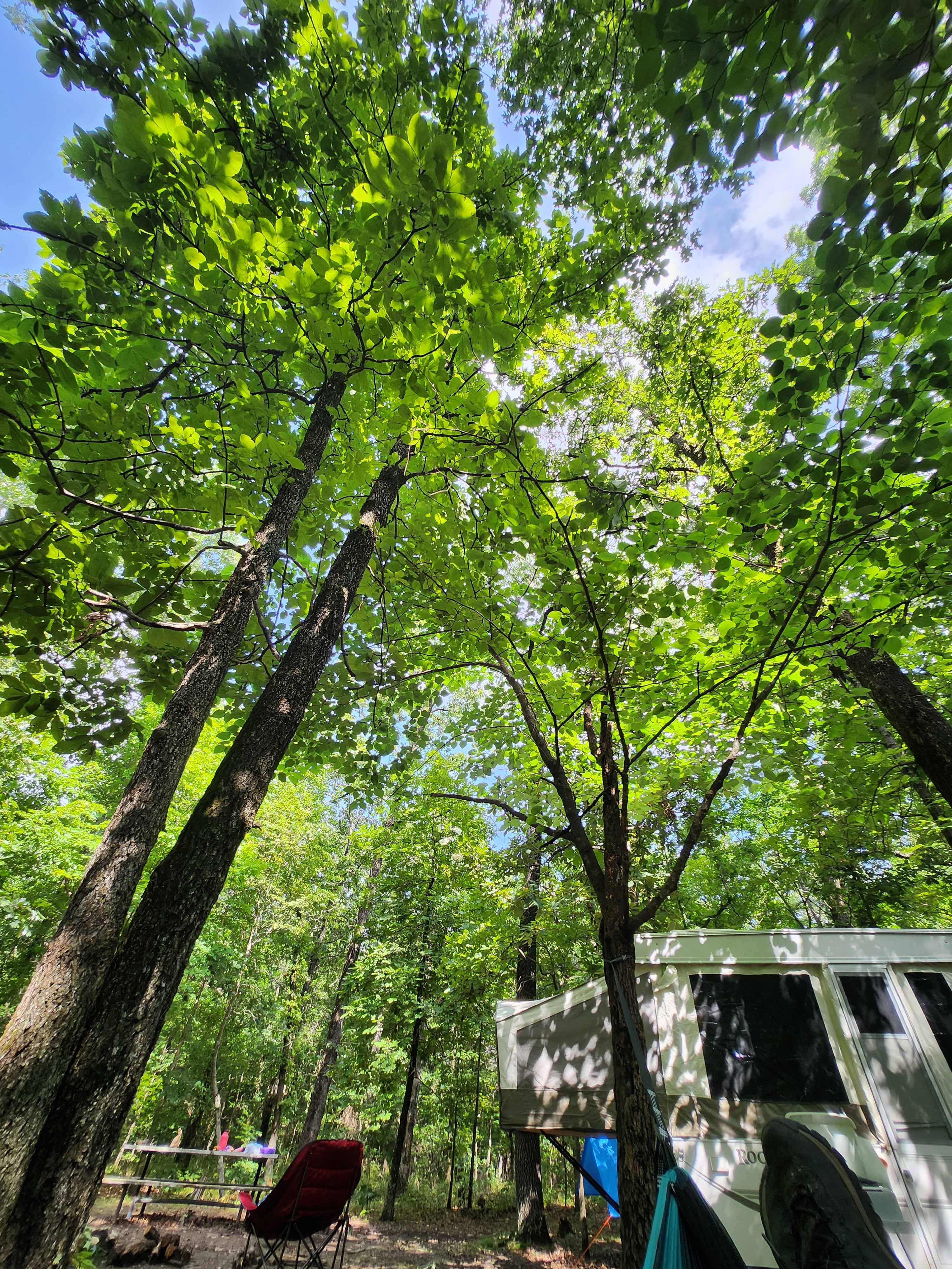 Lake Frances Campsites