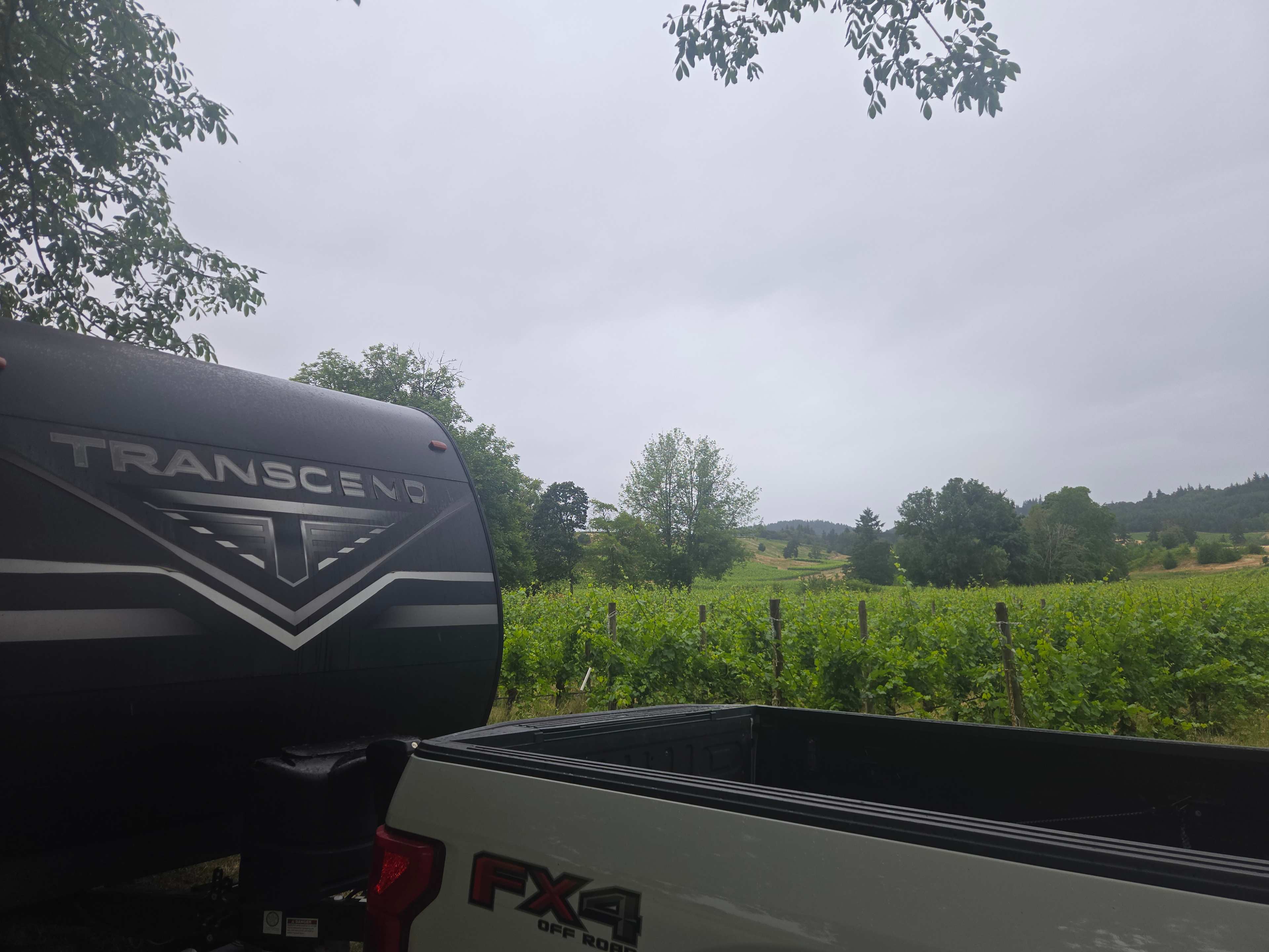 Zenith Vineyard Camping