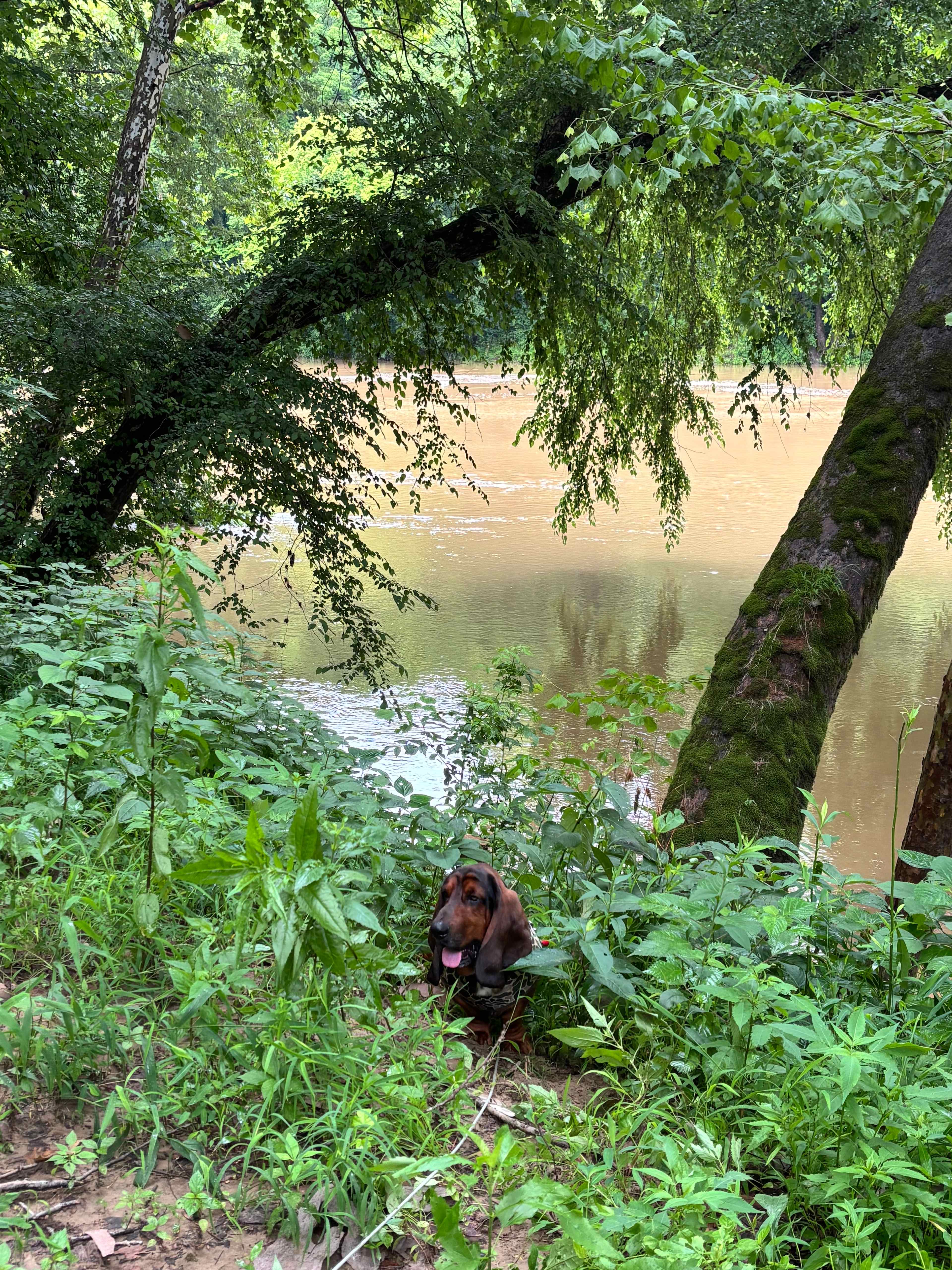 Kentucky River Hideaway (Near RRG)