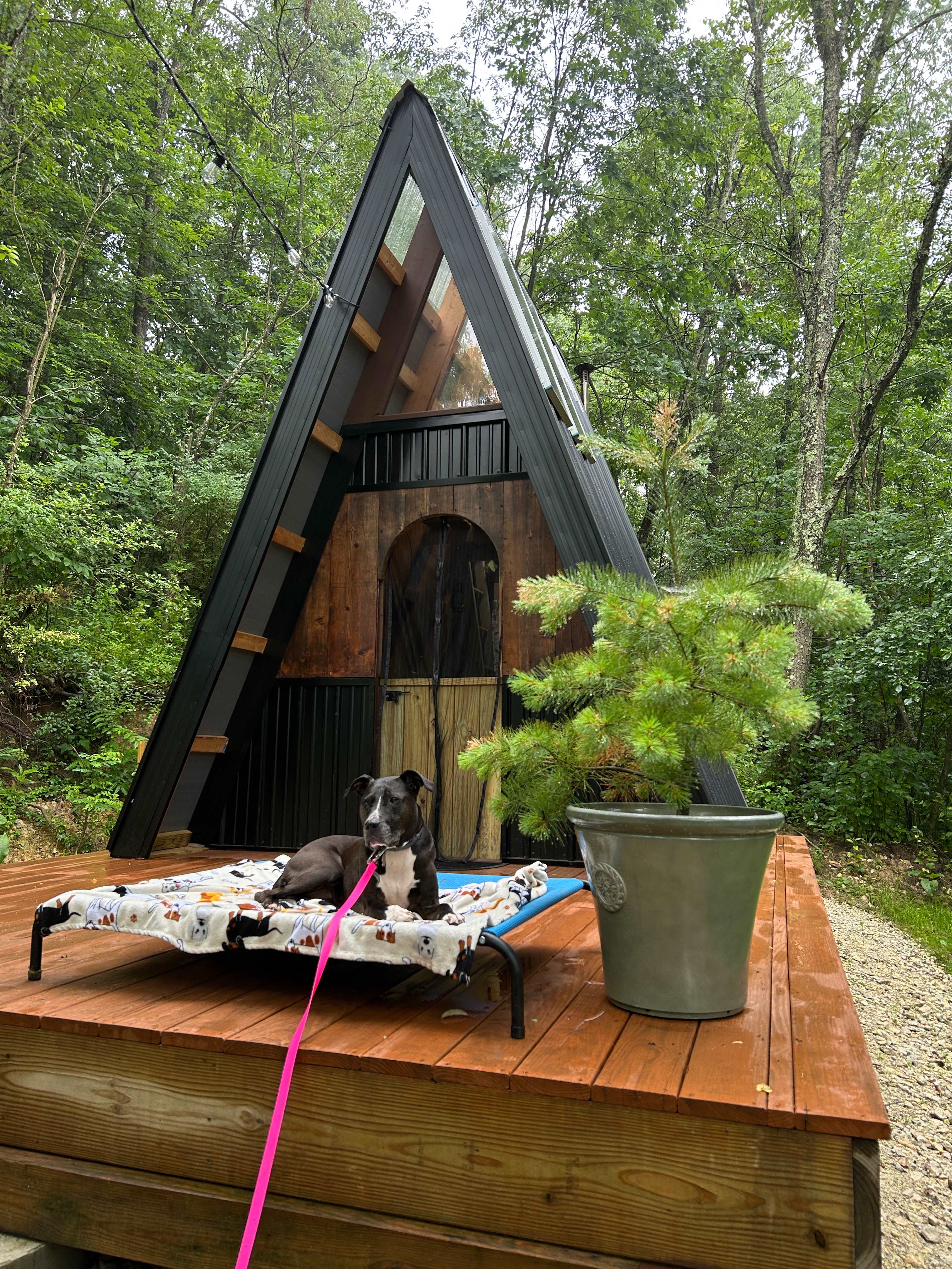 A-frame rustic cabin