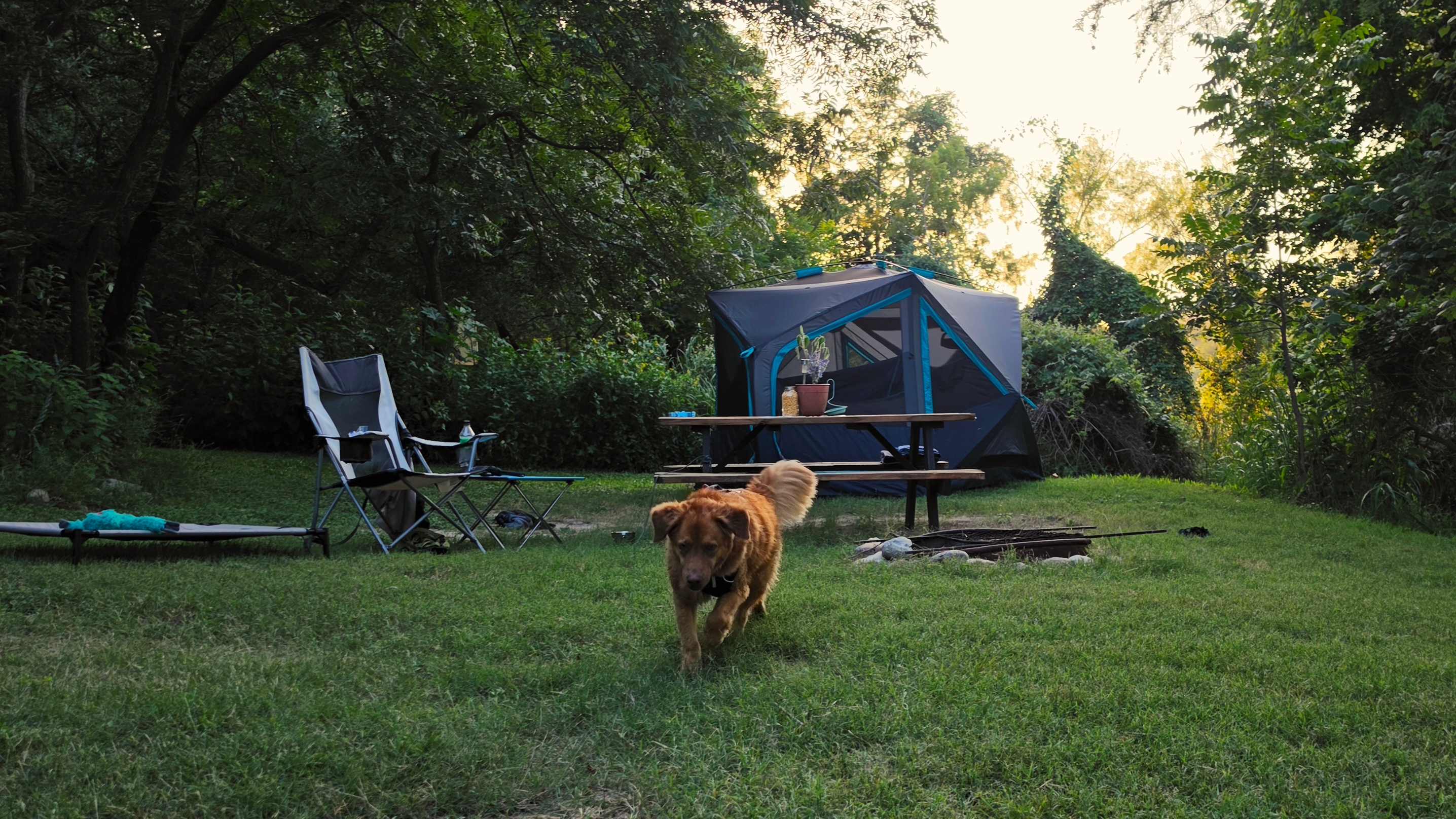 Boulderdash Cabin & Camping