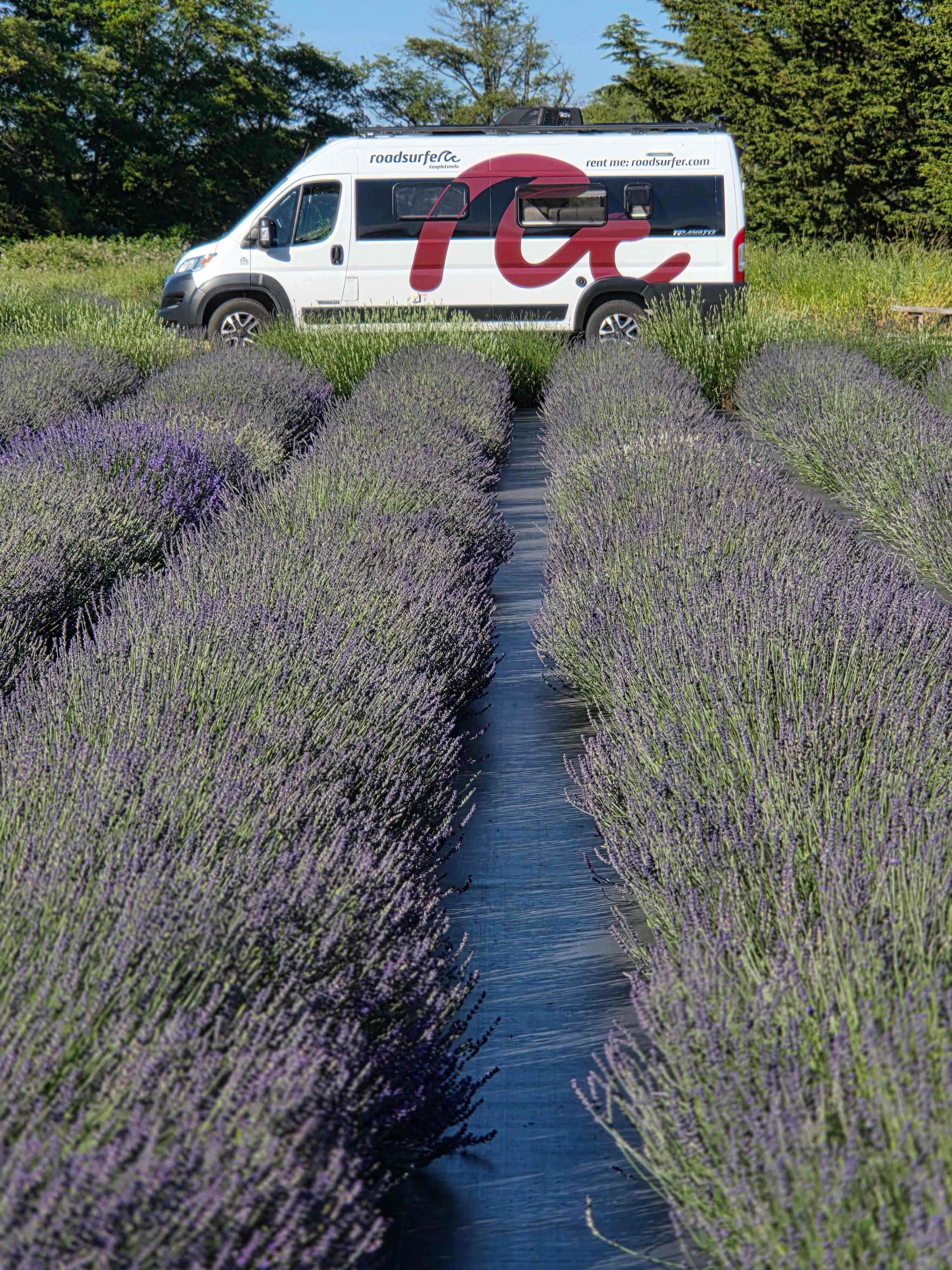 Jardin du Soleil Lavender Farm