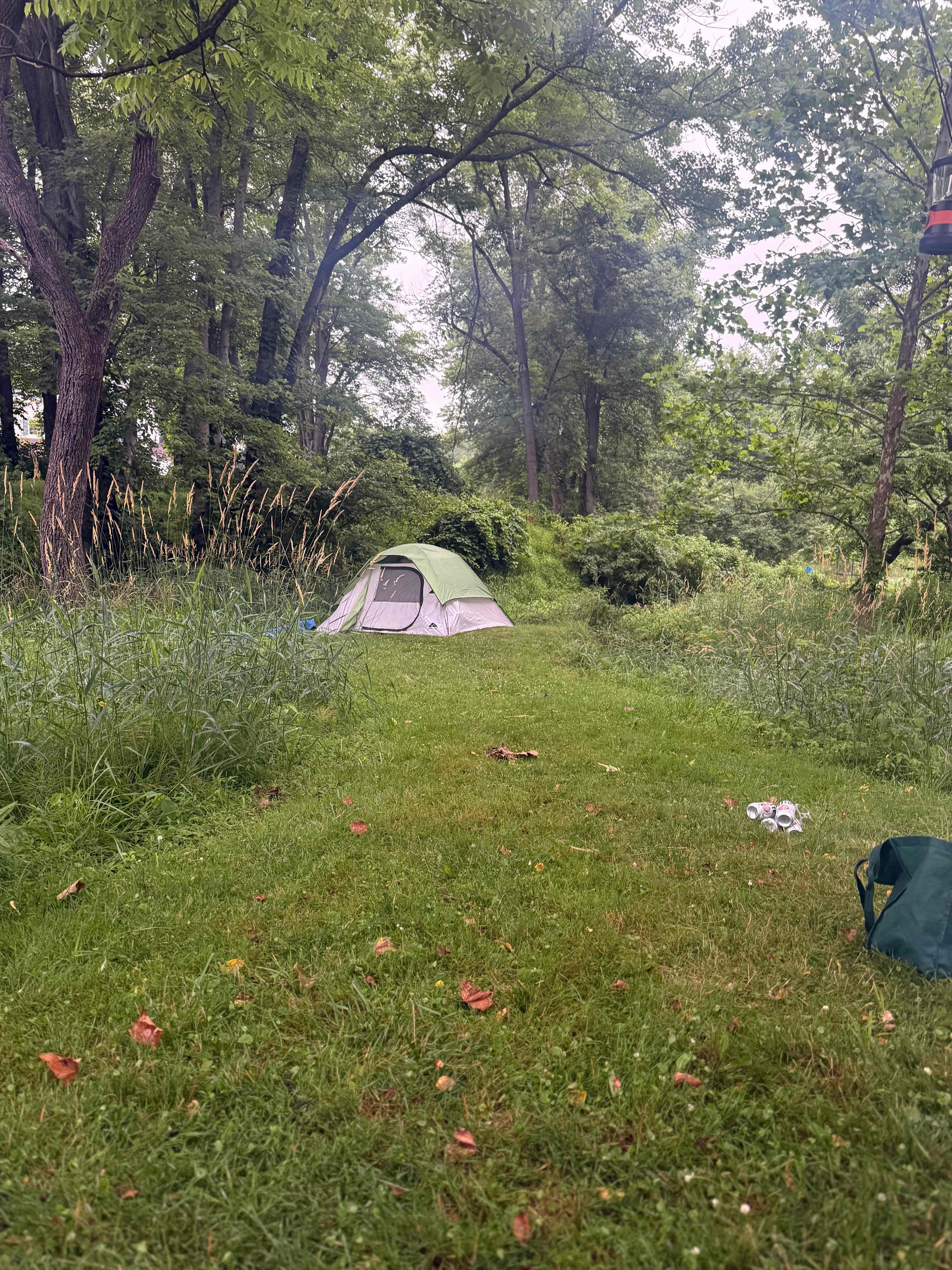 Theo's Creek Homestead